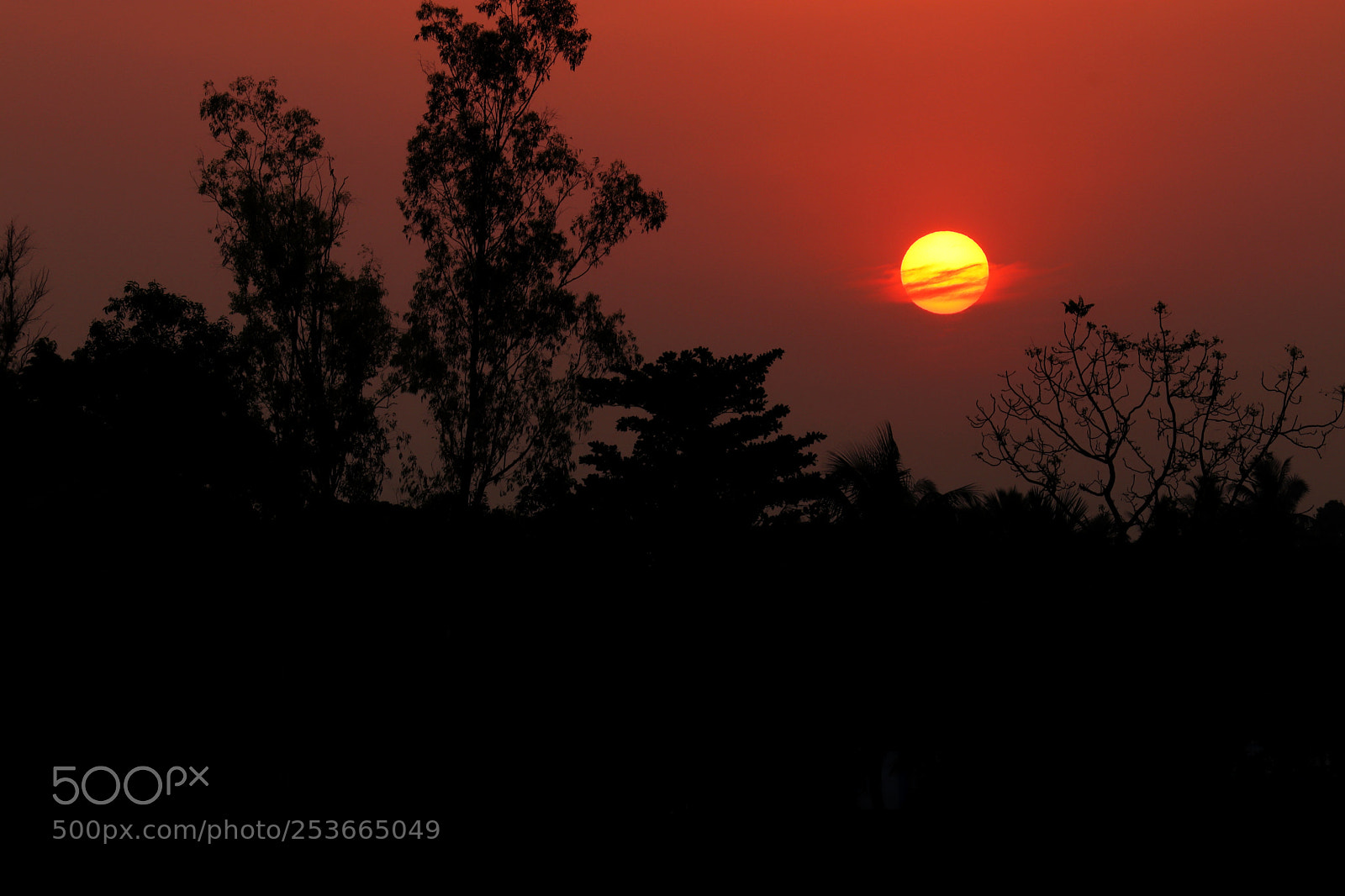 Canon EOS 800D (EOS Rebel T7i / EOS Kiss X9i) sample photo. The first sun of photography