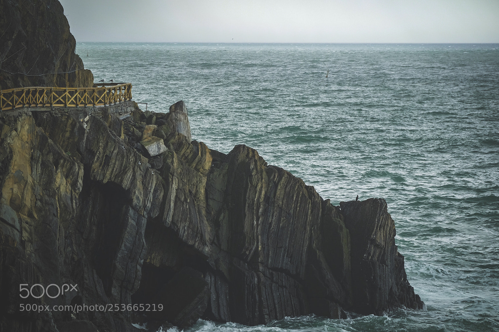 Fujifilm X-T10 sample photo. Cliff of riomaggiore photography