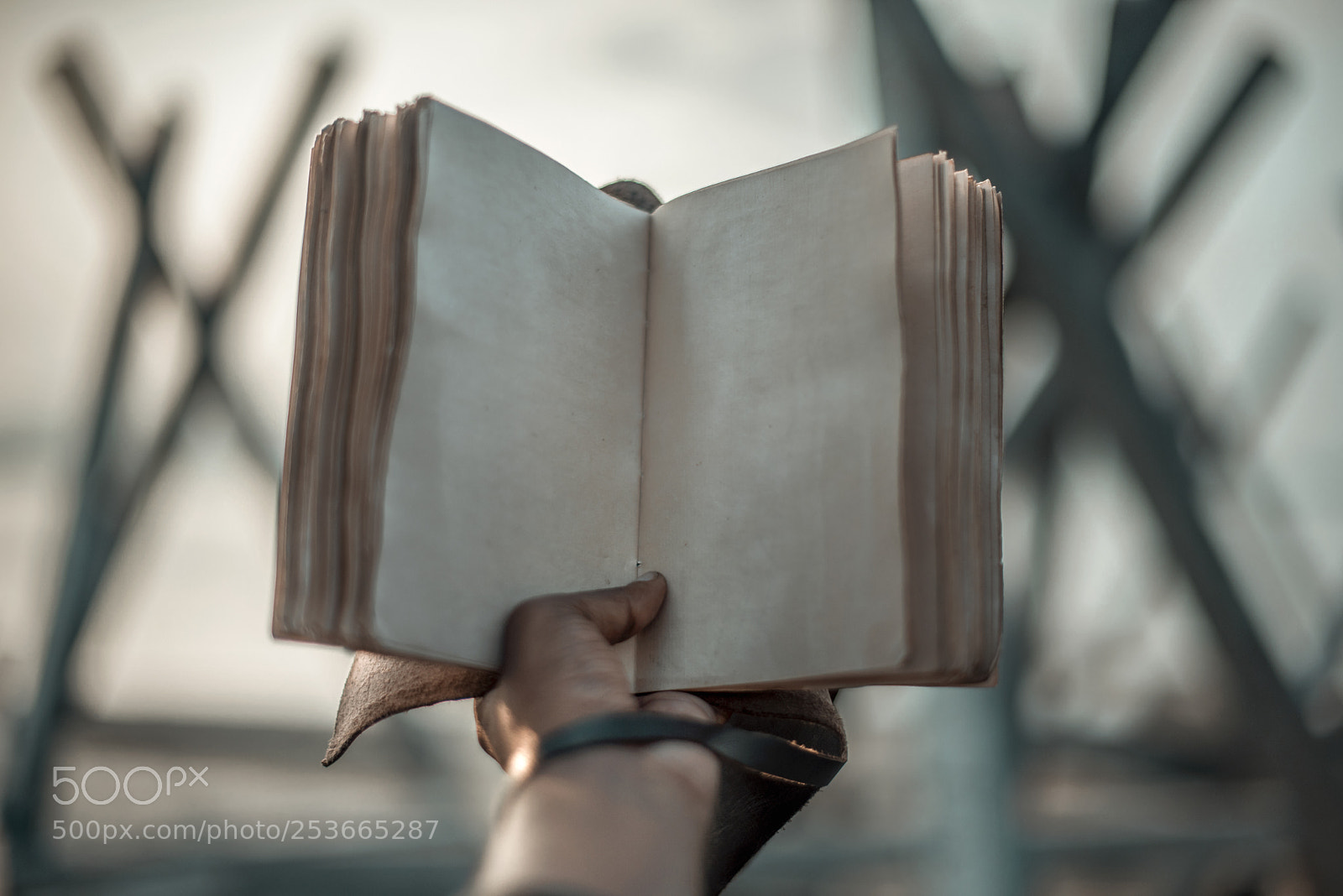 Nikon D810 sample photo. Visions are like a photography