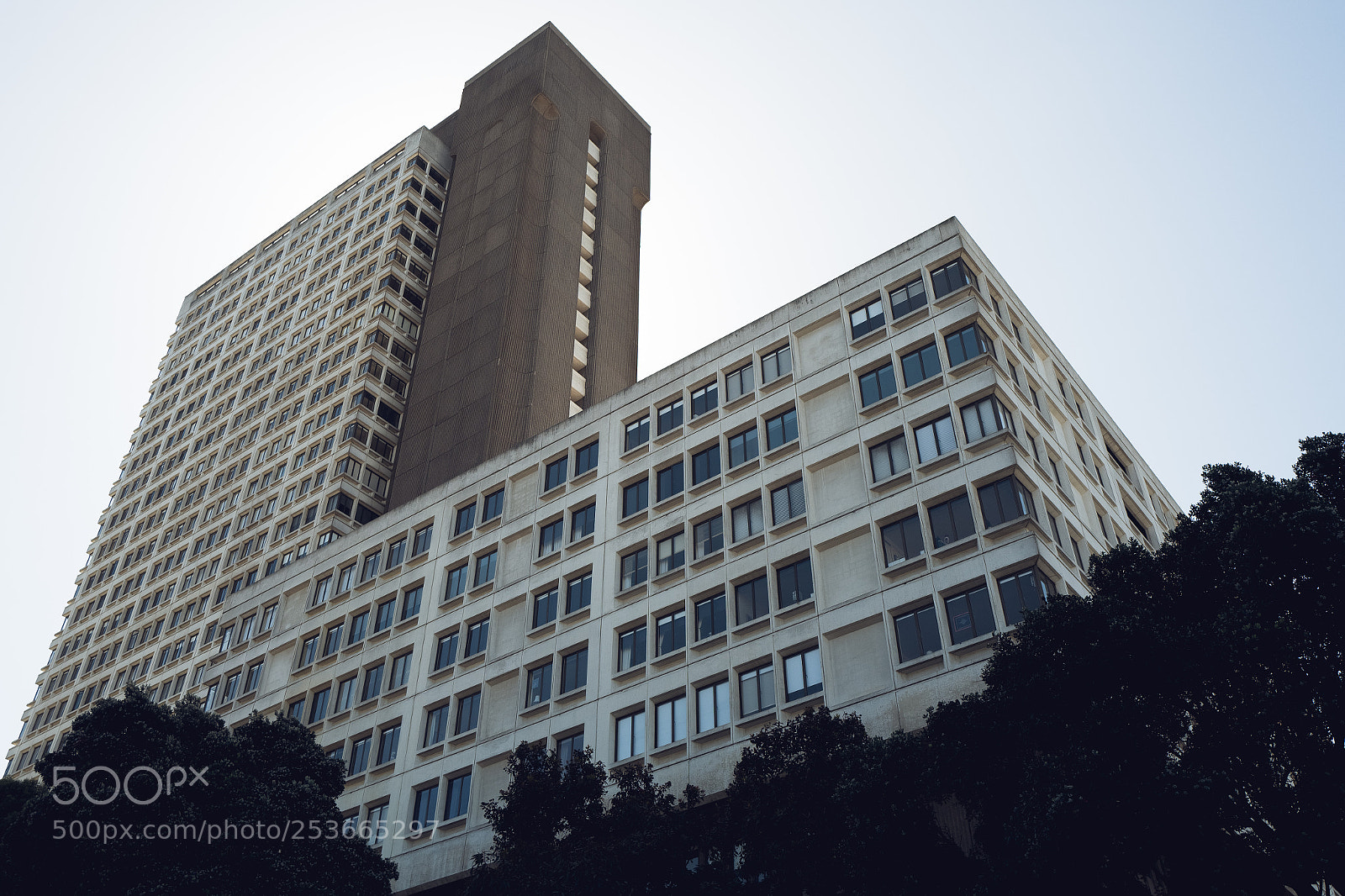 Leica Q (Typ 116) sample photo. Towering photography