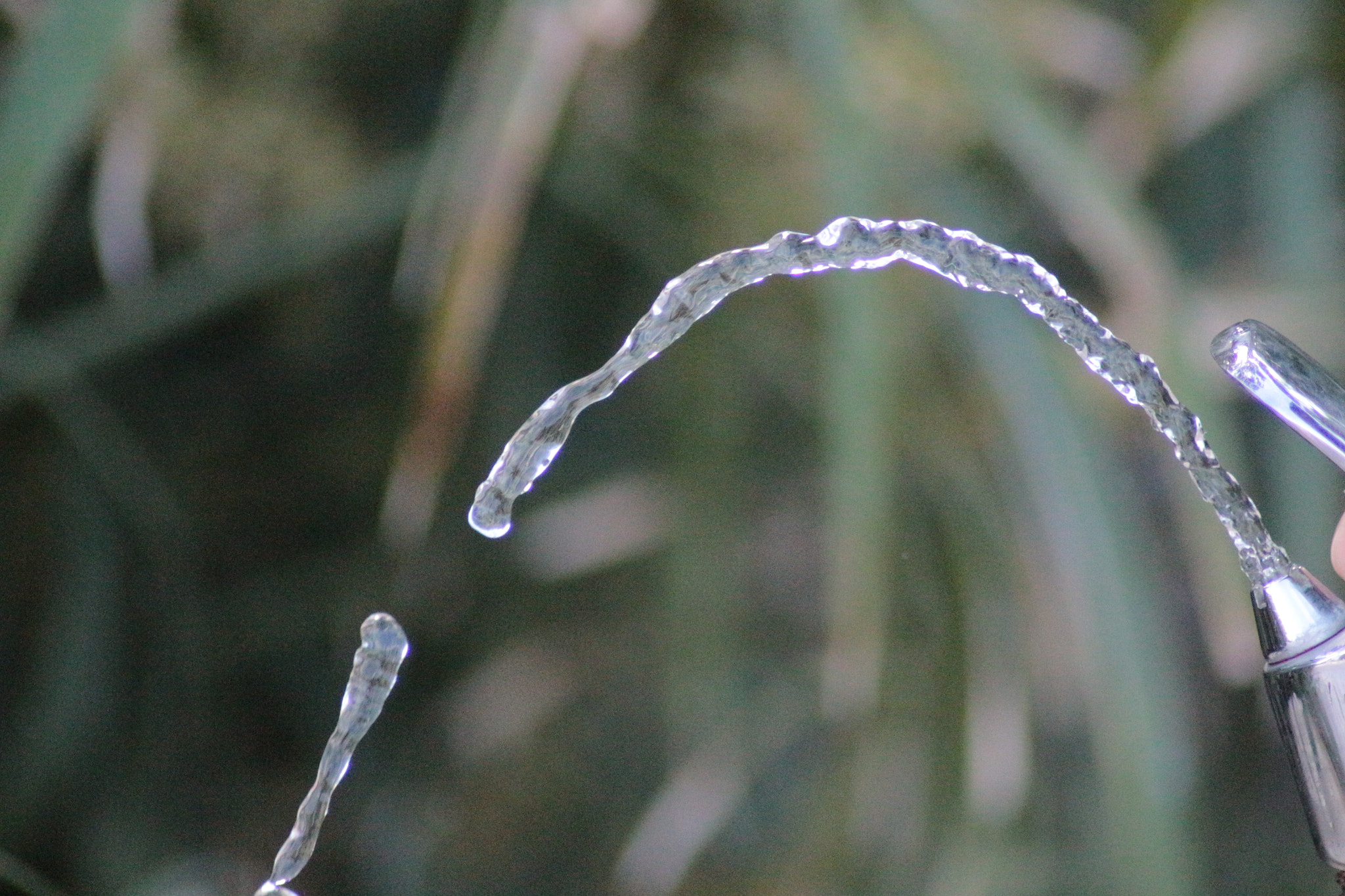 Canon EOS 700D (EOS Rebel T5i / EOS Kiss X7i) sample photo. Run to the water photography