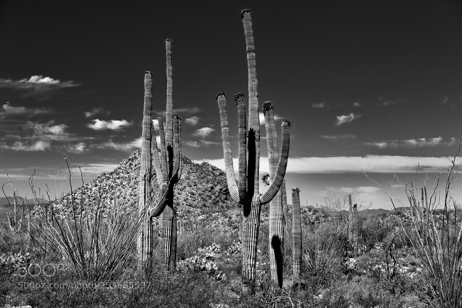 Nikon D800E sample photo. Hills, blues skies and photography