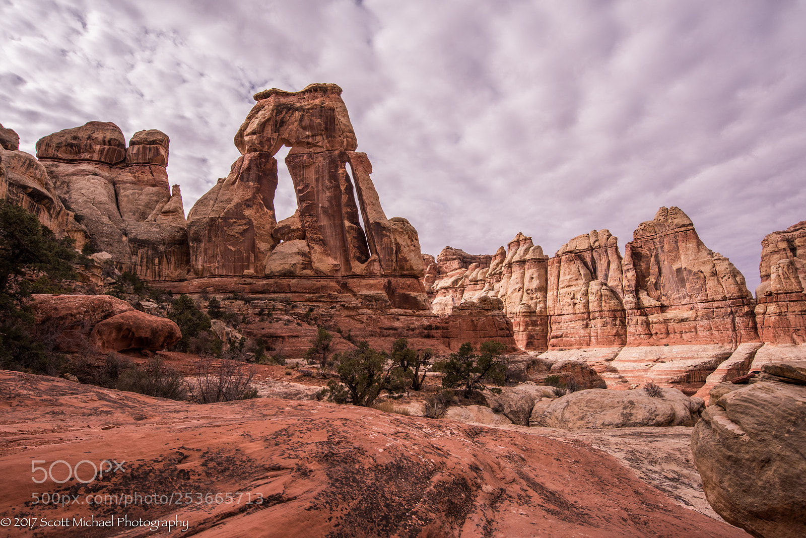 Nikon D810 sample photo. Druid arch photography