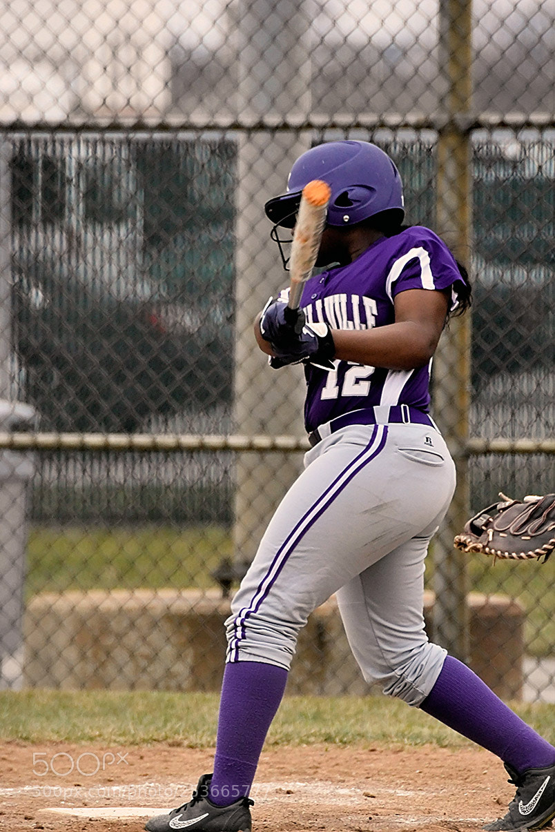 Nikon D500 sample photo. Softball photography