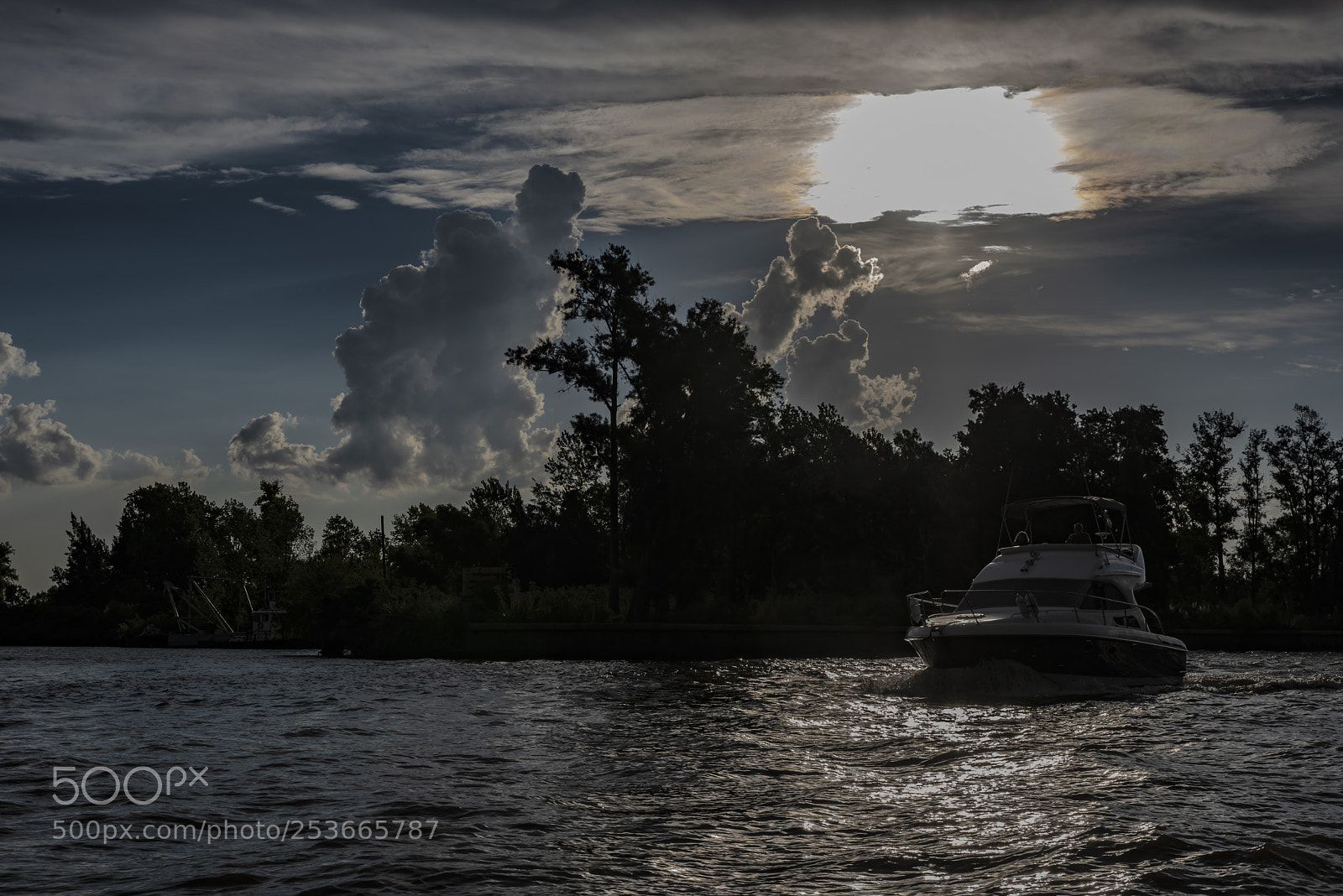 Nikon D810 sample photo. Untitled photography