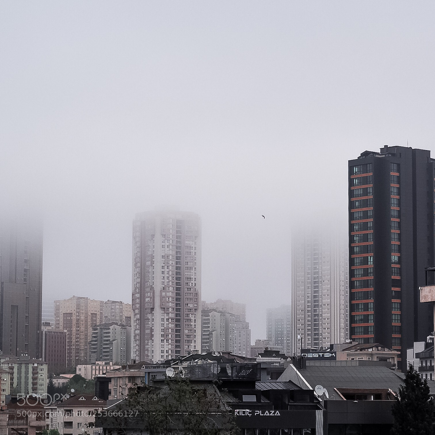 Olympus OM-D E-M10 II sample photo. Big city life photography