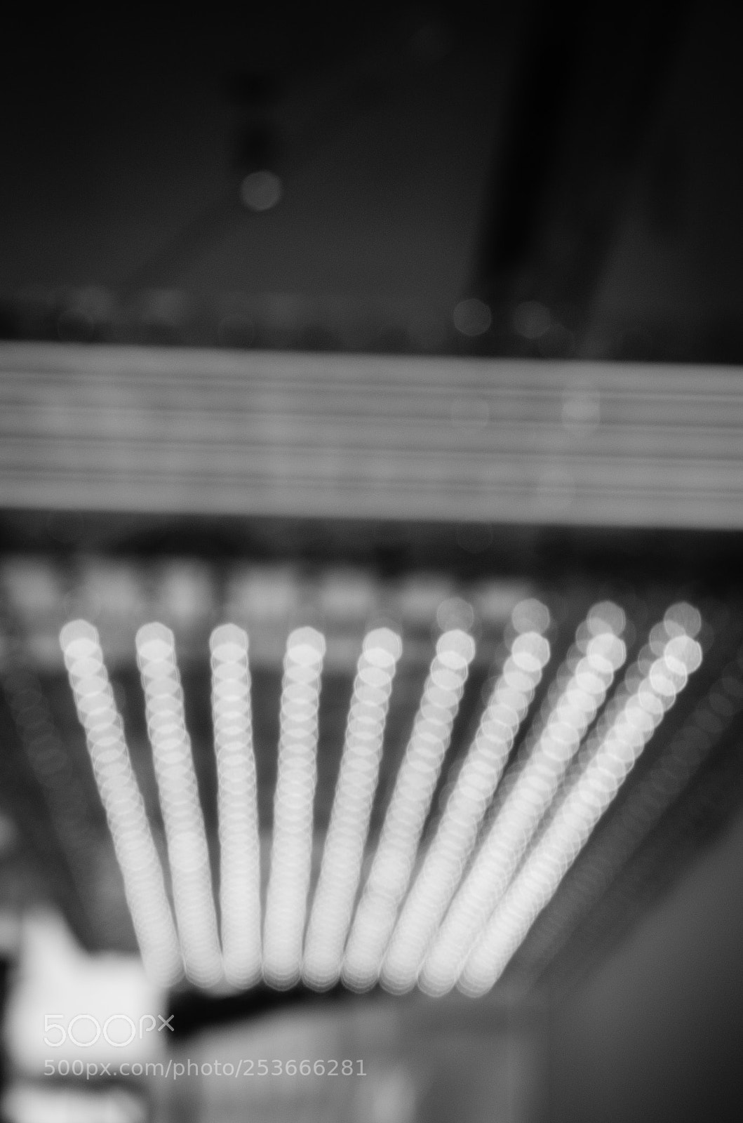 Nikon D5100 sample photo. Bright lights photography
