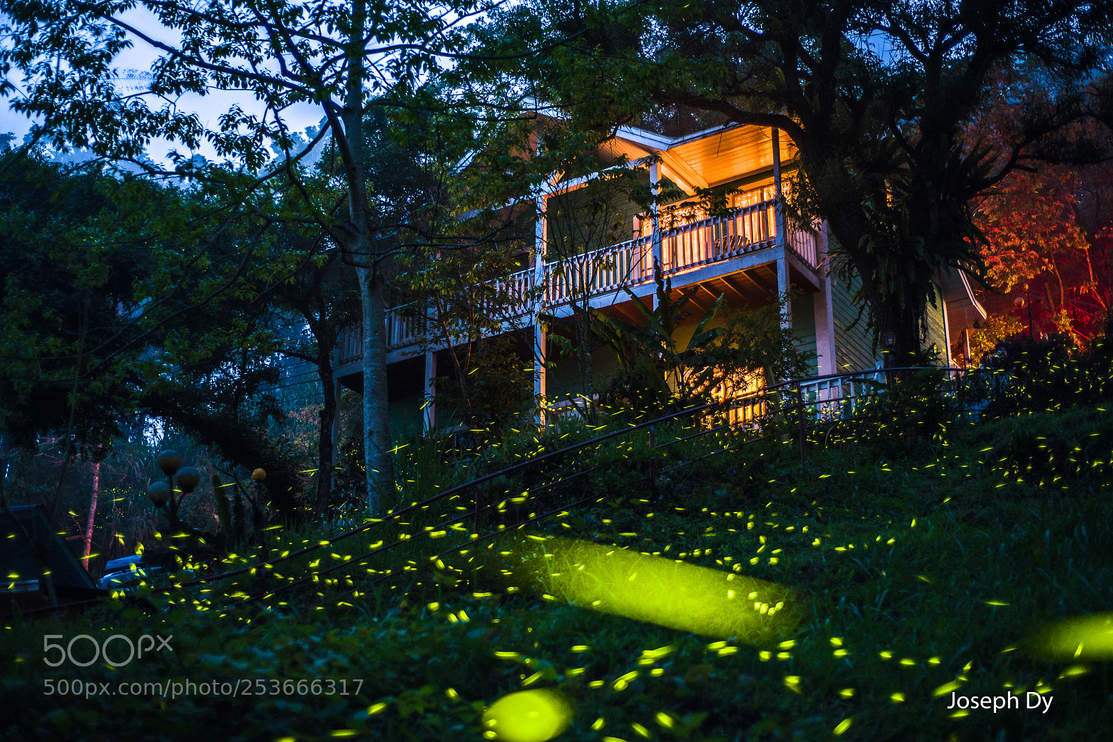 Nikon D750 sample photo. Fireflies photography