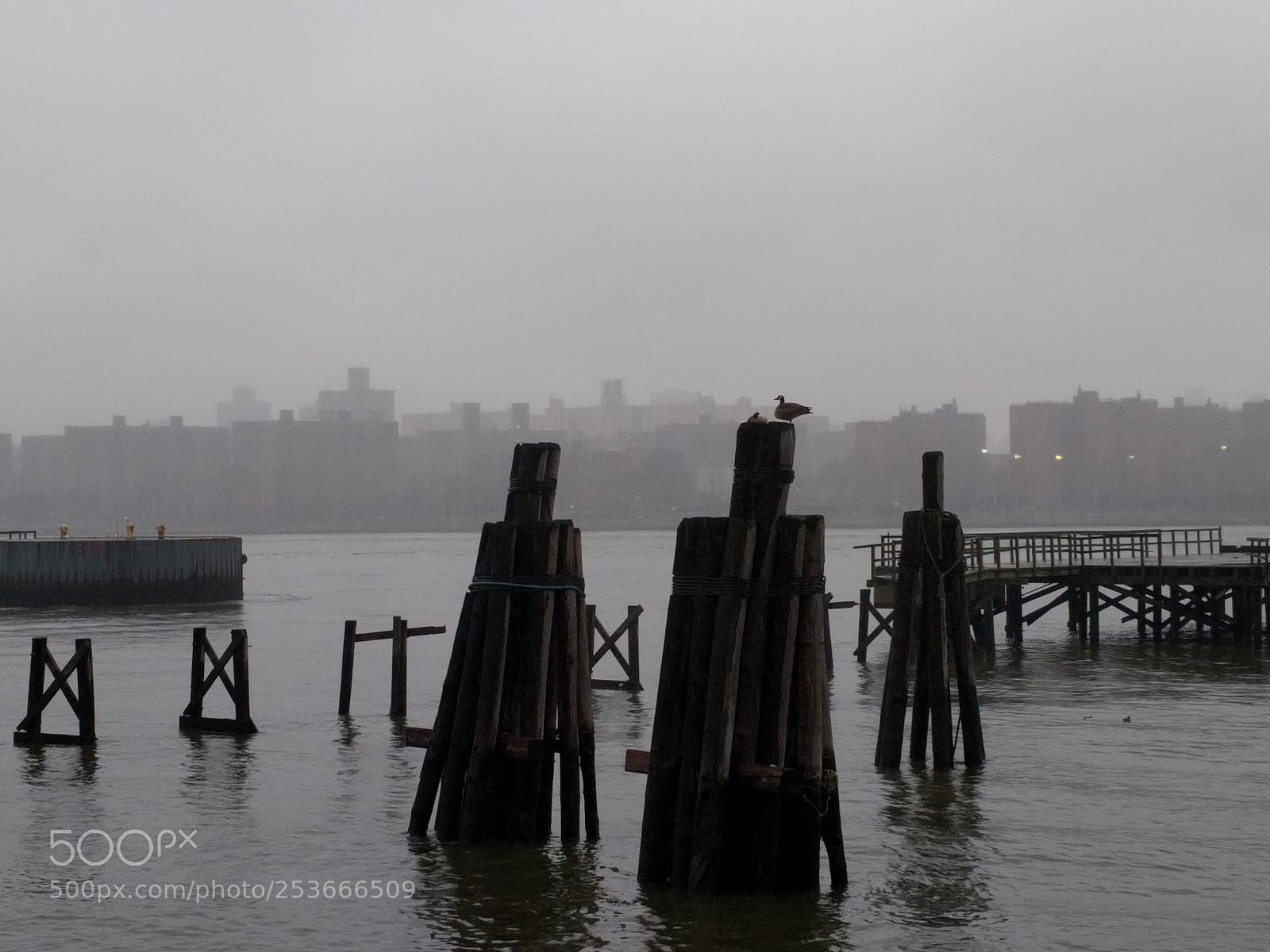 LG Nexus 5X sample photo. East river relics photography