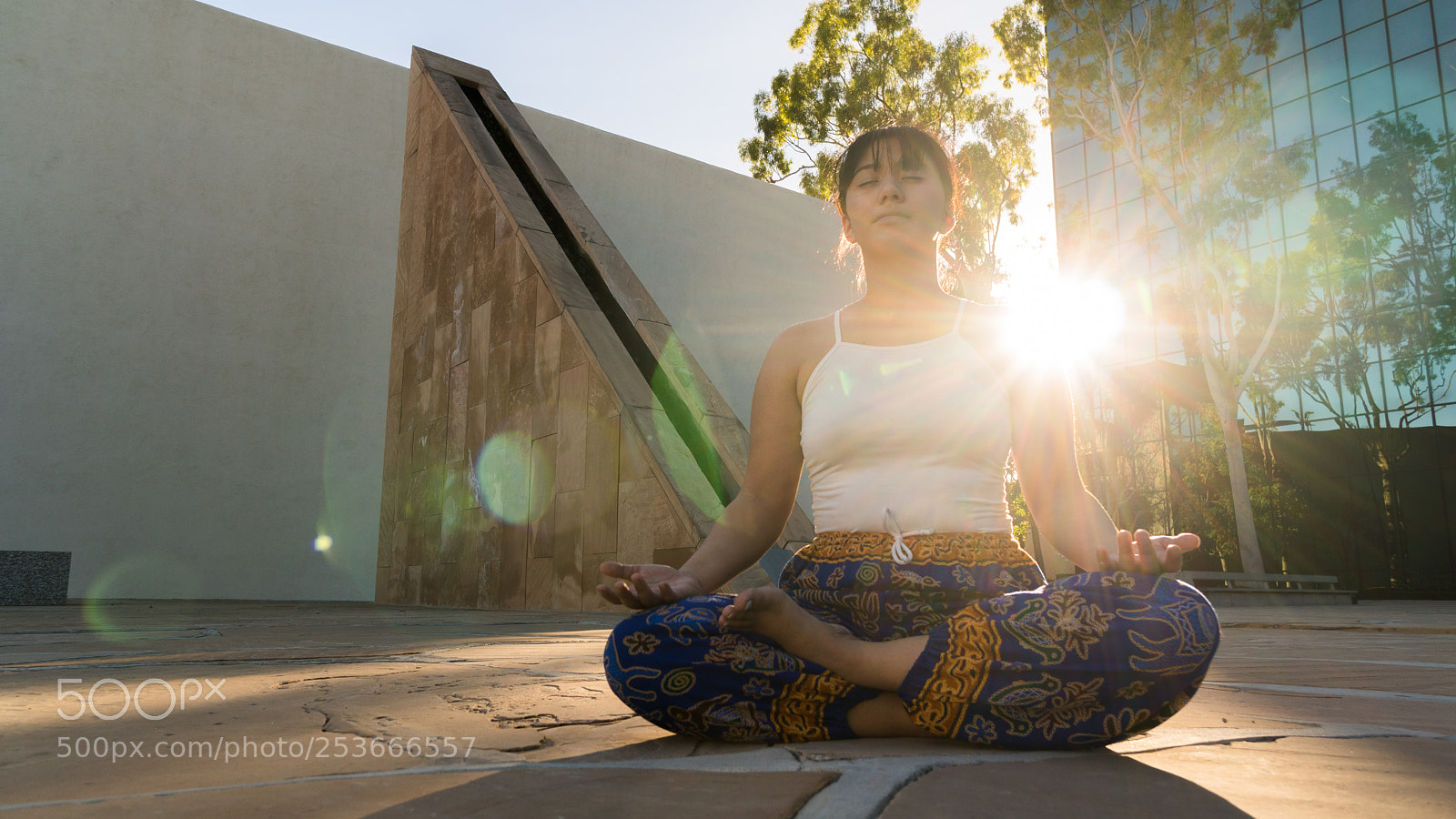 Sony a6300 sample photo. Zen photography