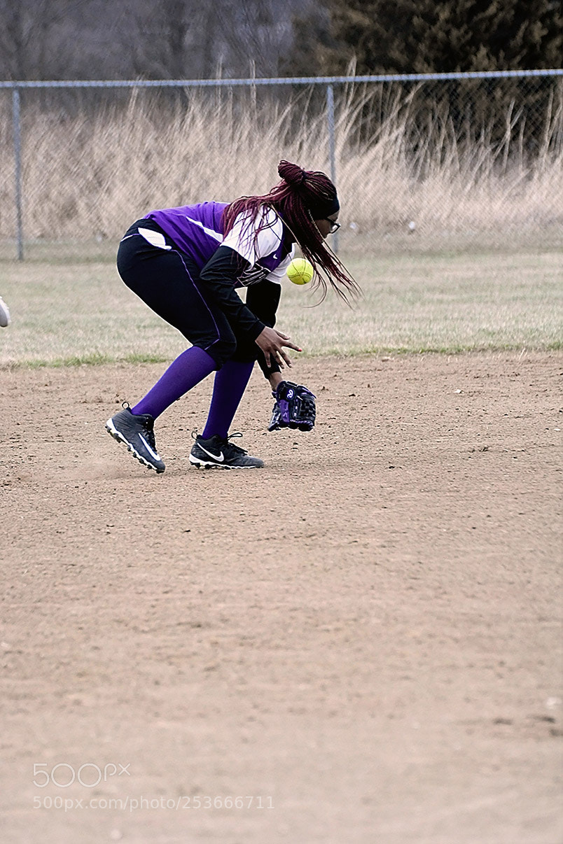 Nikon D500 sample photo. Softball photography