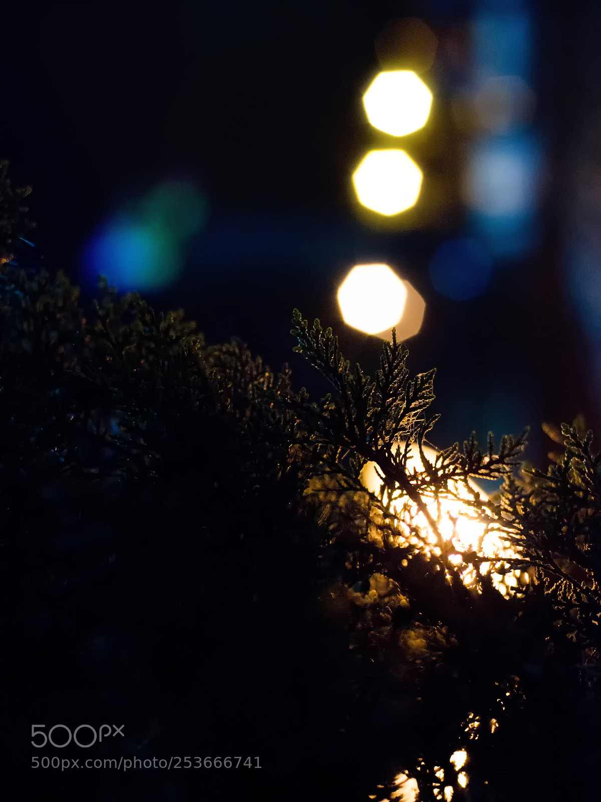 Nikon D7000 sample photo. Xz photography