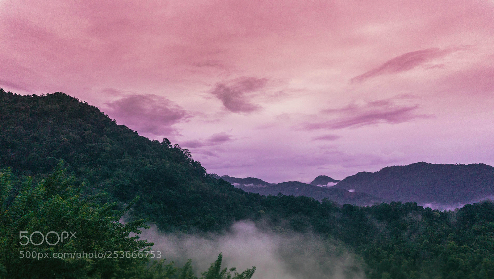 Sony a6000 sample photo. The mist photography