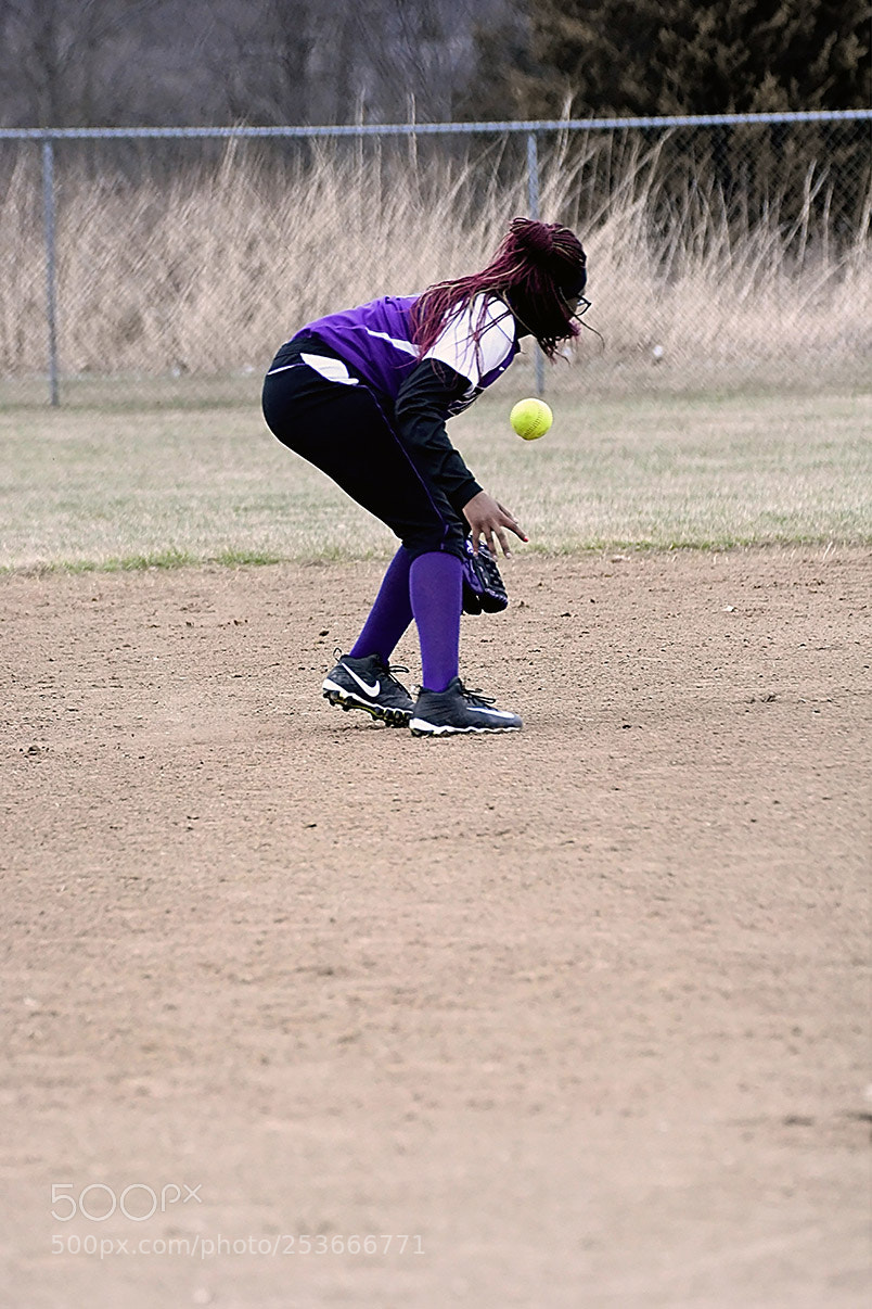 Nikon D500 sample photo. Softball photography