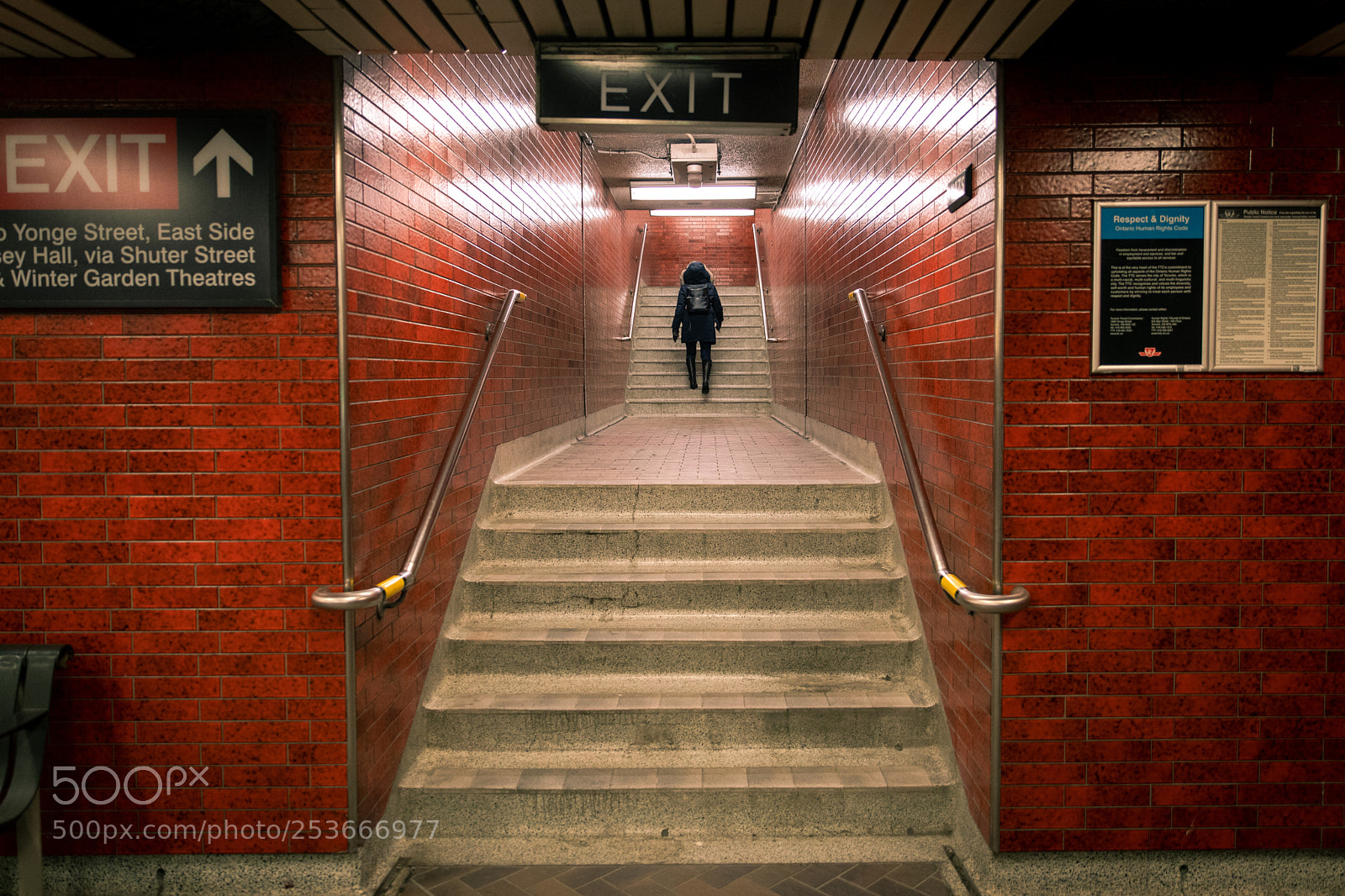 Canon EOS 5D Mark IV sample photo. Queen's exit photography