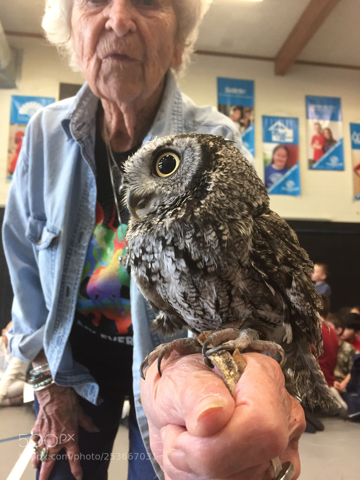 Apple iPhone 6 sample photo. Owl lady photography