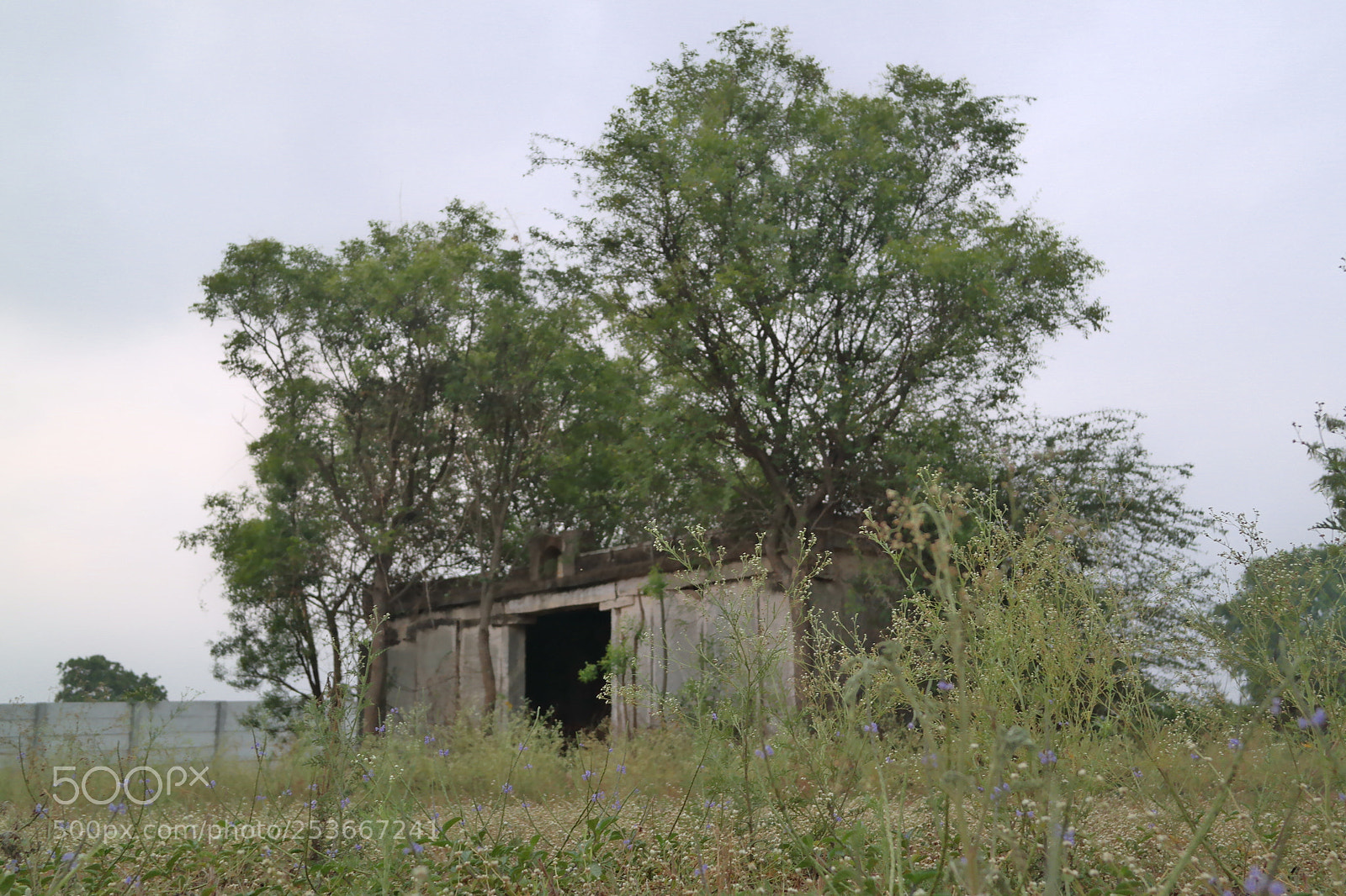 Samsung NX2000 sample photo. Morning ride photography
