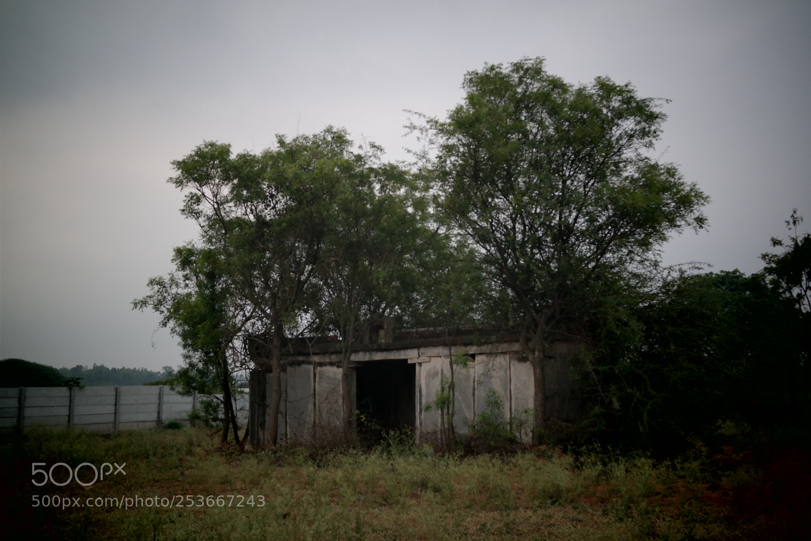 Samsung NX2000 sample photo. Morning ride photography