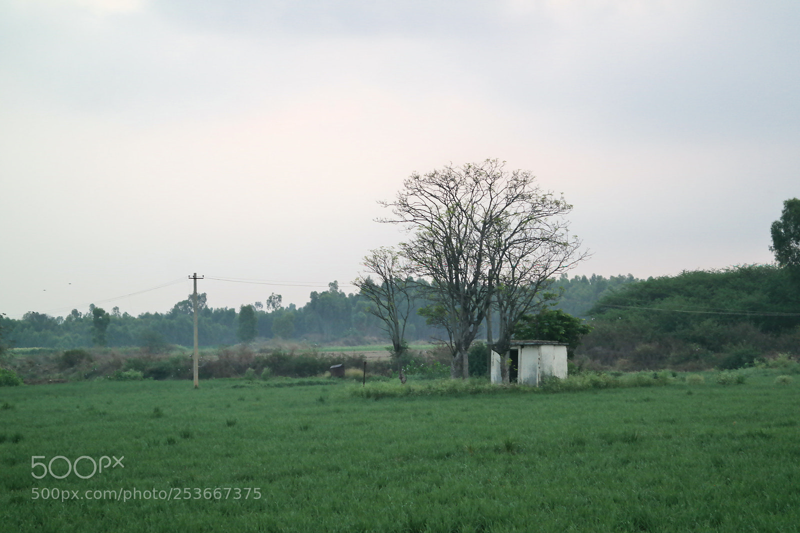 Samsung NX2000 sample photo. Morning ride photography