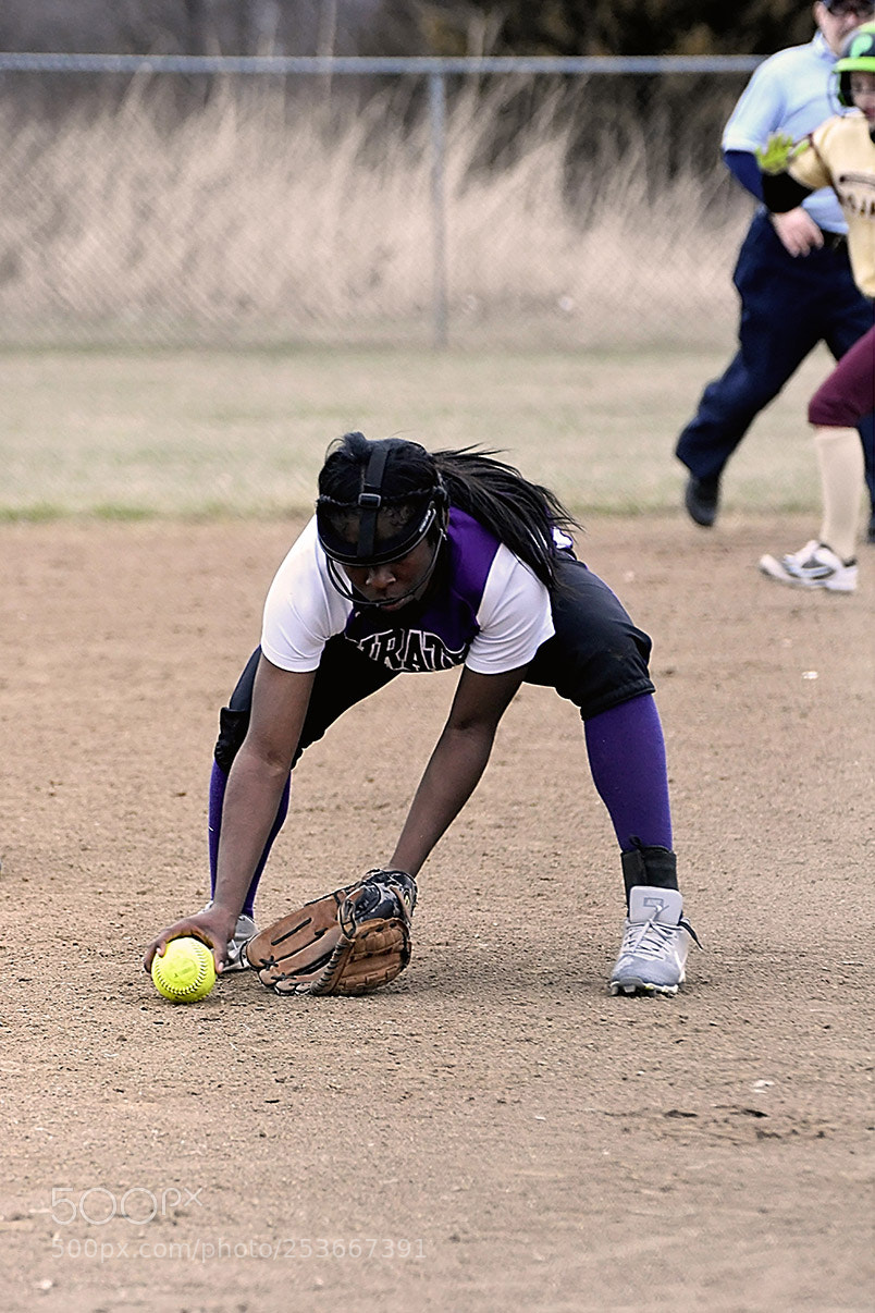 Nikon D500 sample photo. Softball photography