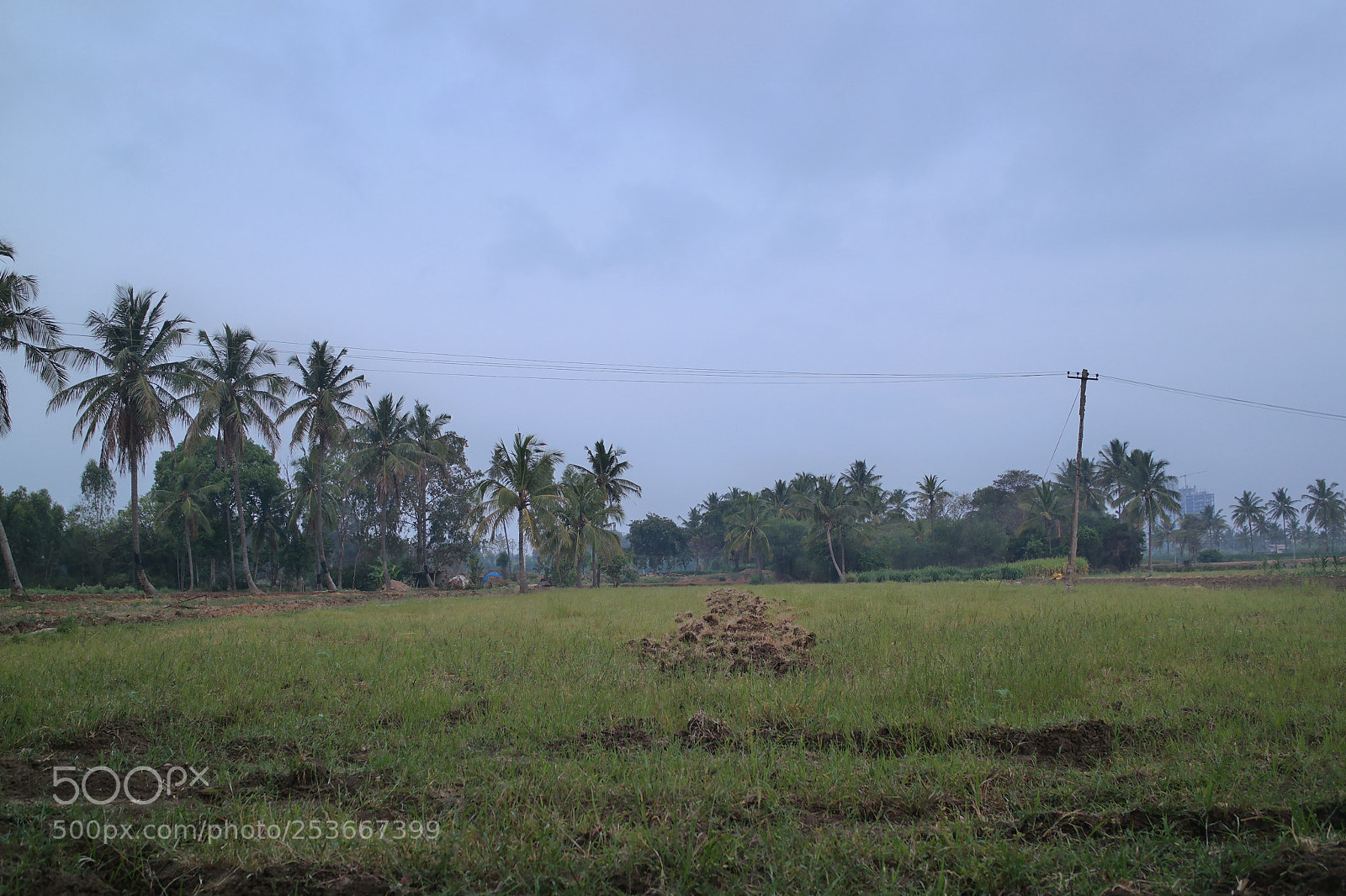 Samsung NX2000 sample photo. Morning ride photography