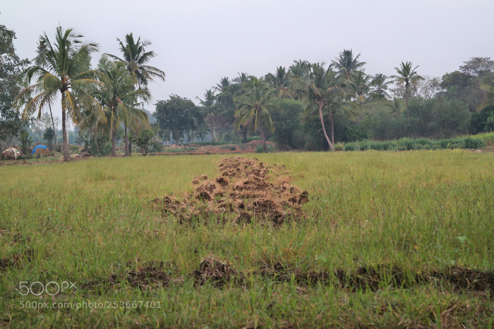 Samsung NX2000 sample photo. Morning ride photography