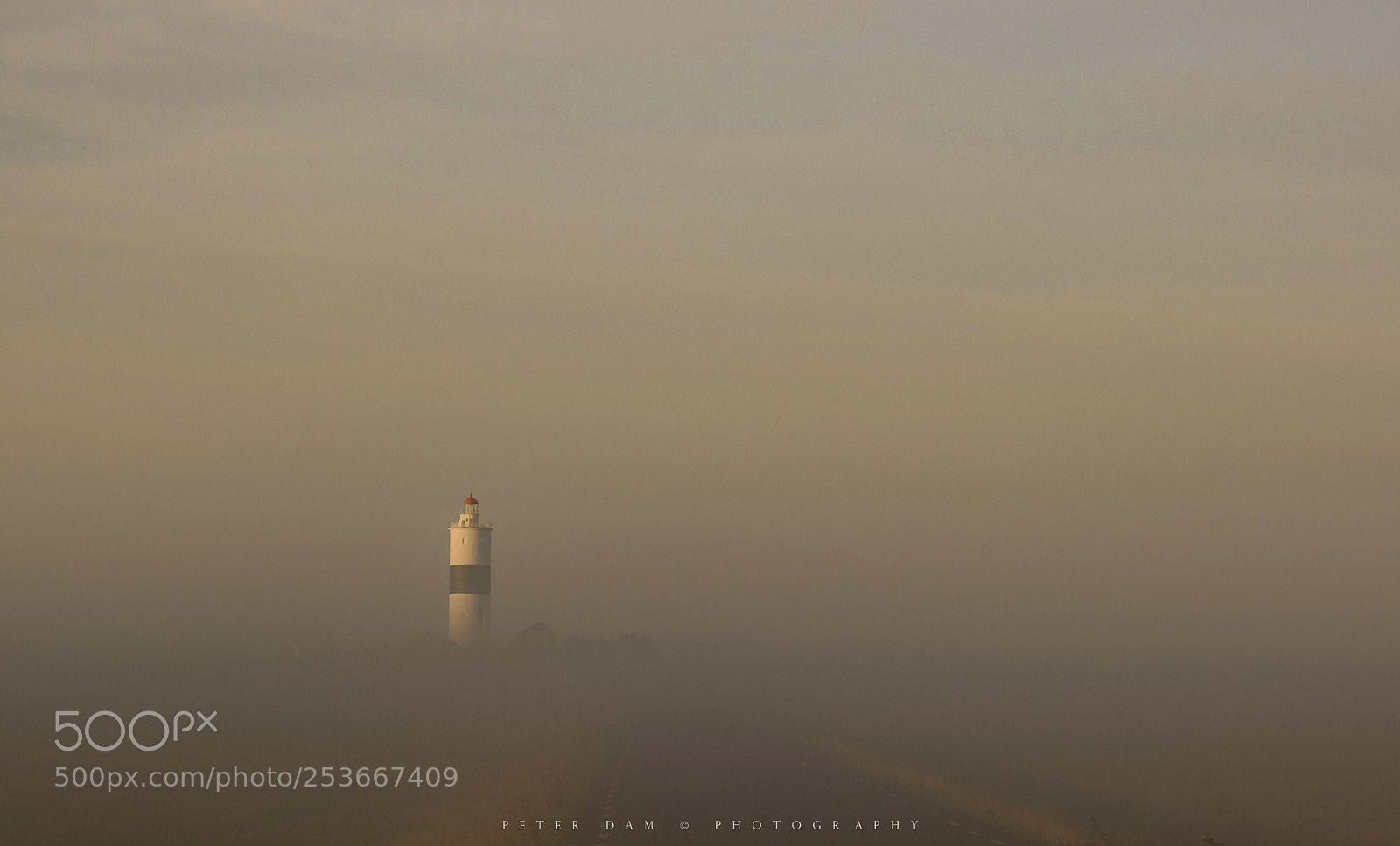Canon EOS-1D Mark III sample photo. Daymark photography
