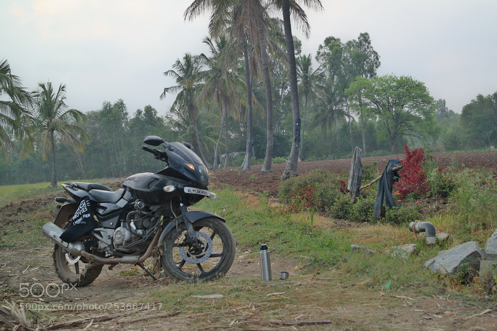 Samsung NX2000 sample photo. Morning ride photography