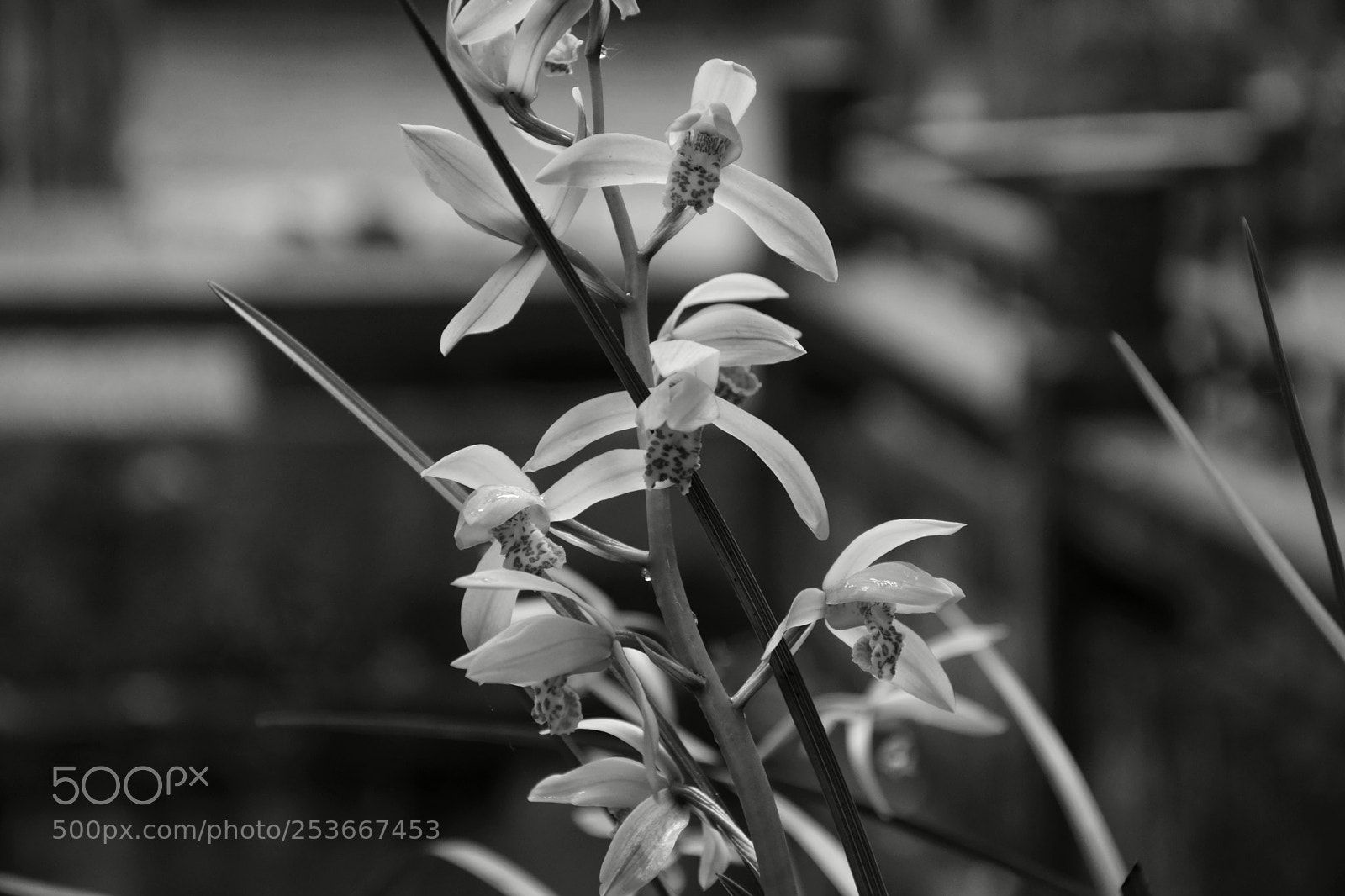 Nikon D5300 sample photo. Untitled photography