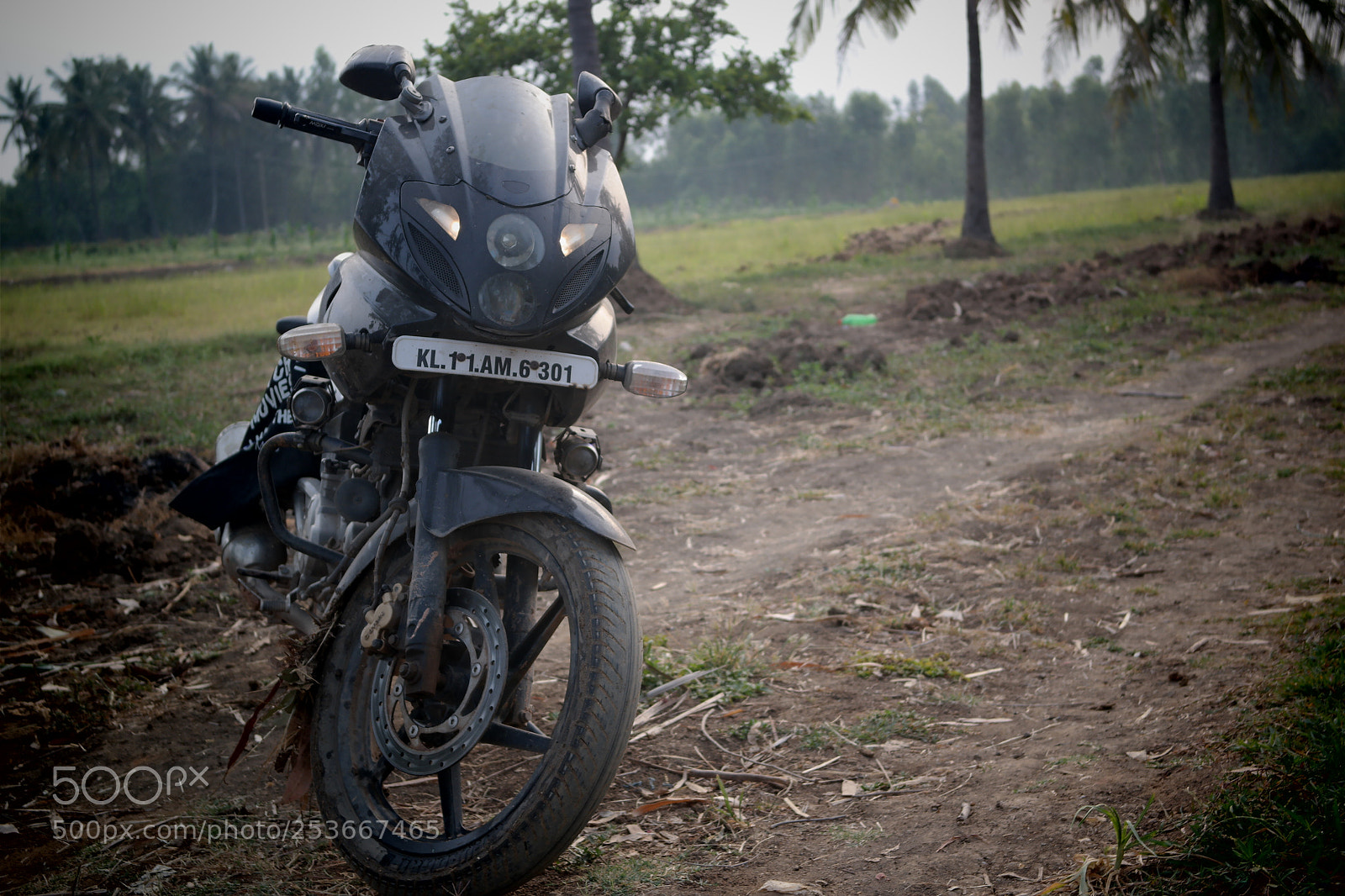 Samsung NX2000 sample photo. Morning ride photography