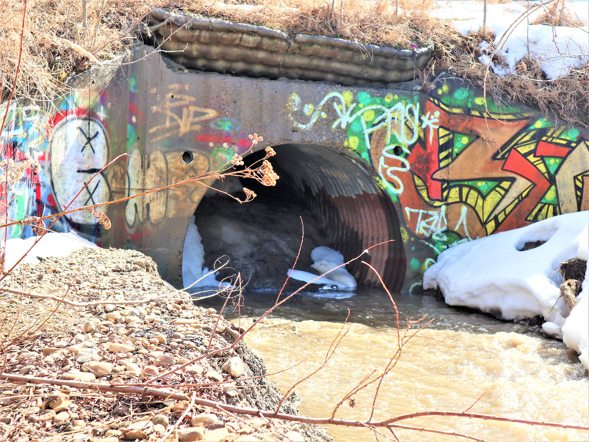 Canon EOS M100 sample photo. Graffiti photography