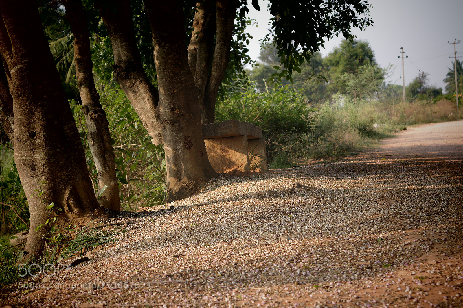 Samsung NX2000 sample photo. Morning ride photography