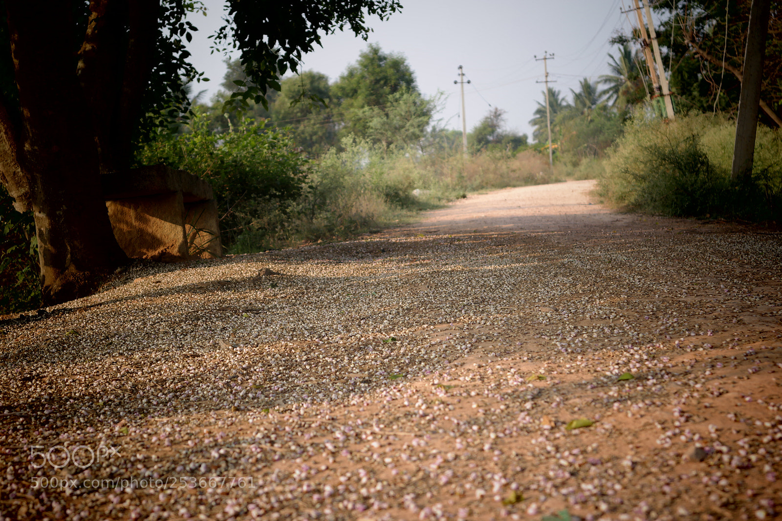 Samsung NX2000 sample photo. Morning ride photography