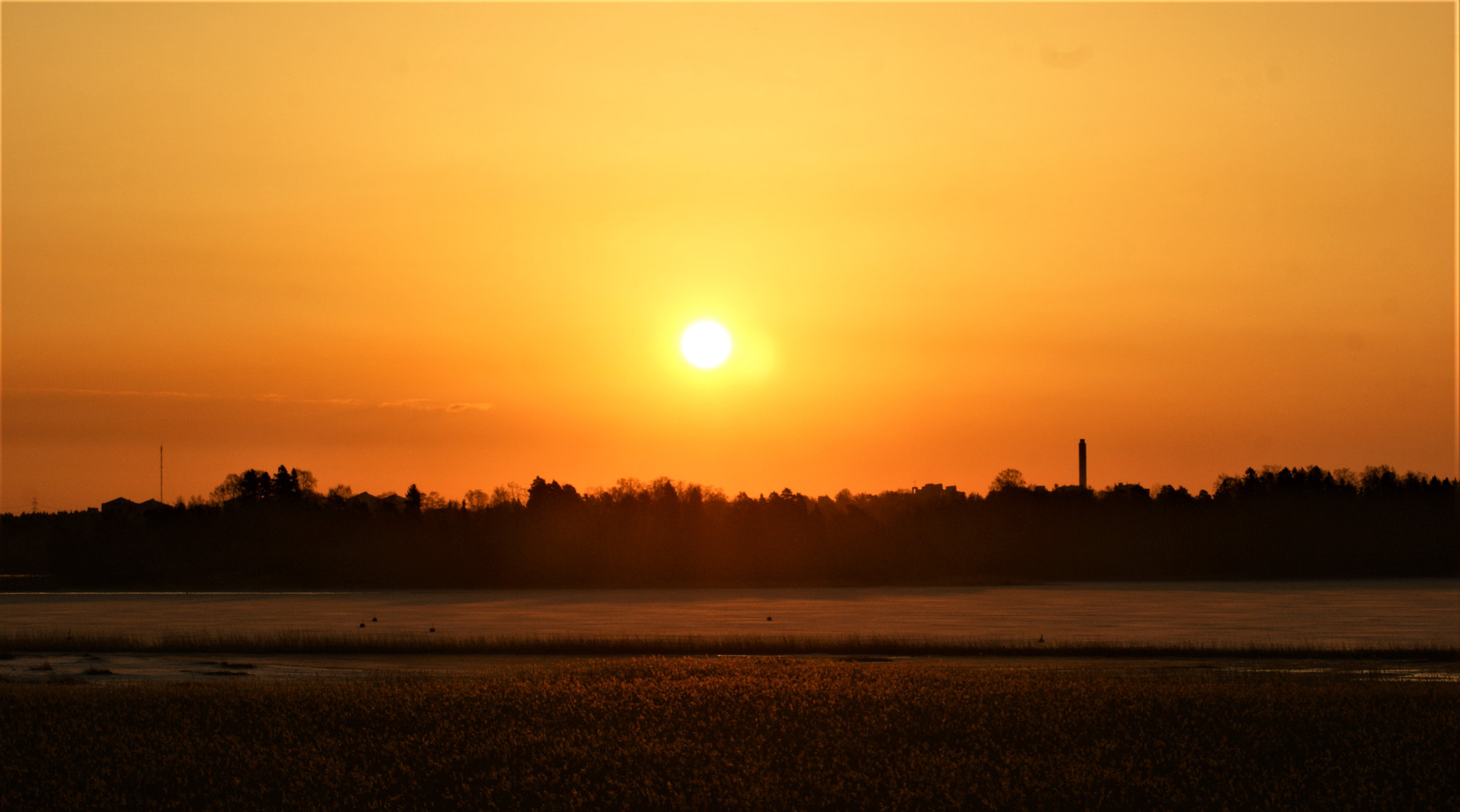 Sony Alpha DSLR-A350 + Tamron Lens (255) sample photo. Lazy sun photography