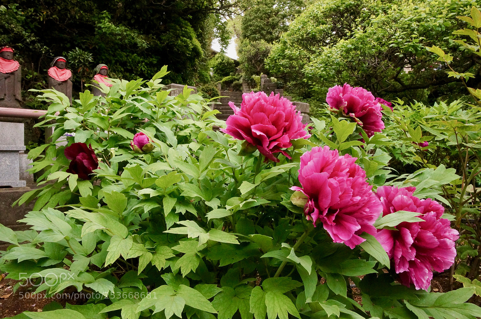 Sony Alpha NEX-5N sample photo. Botan photography
