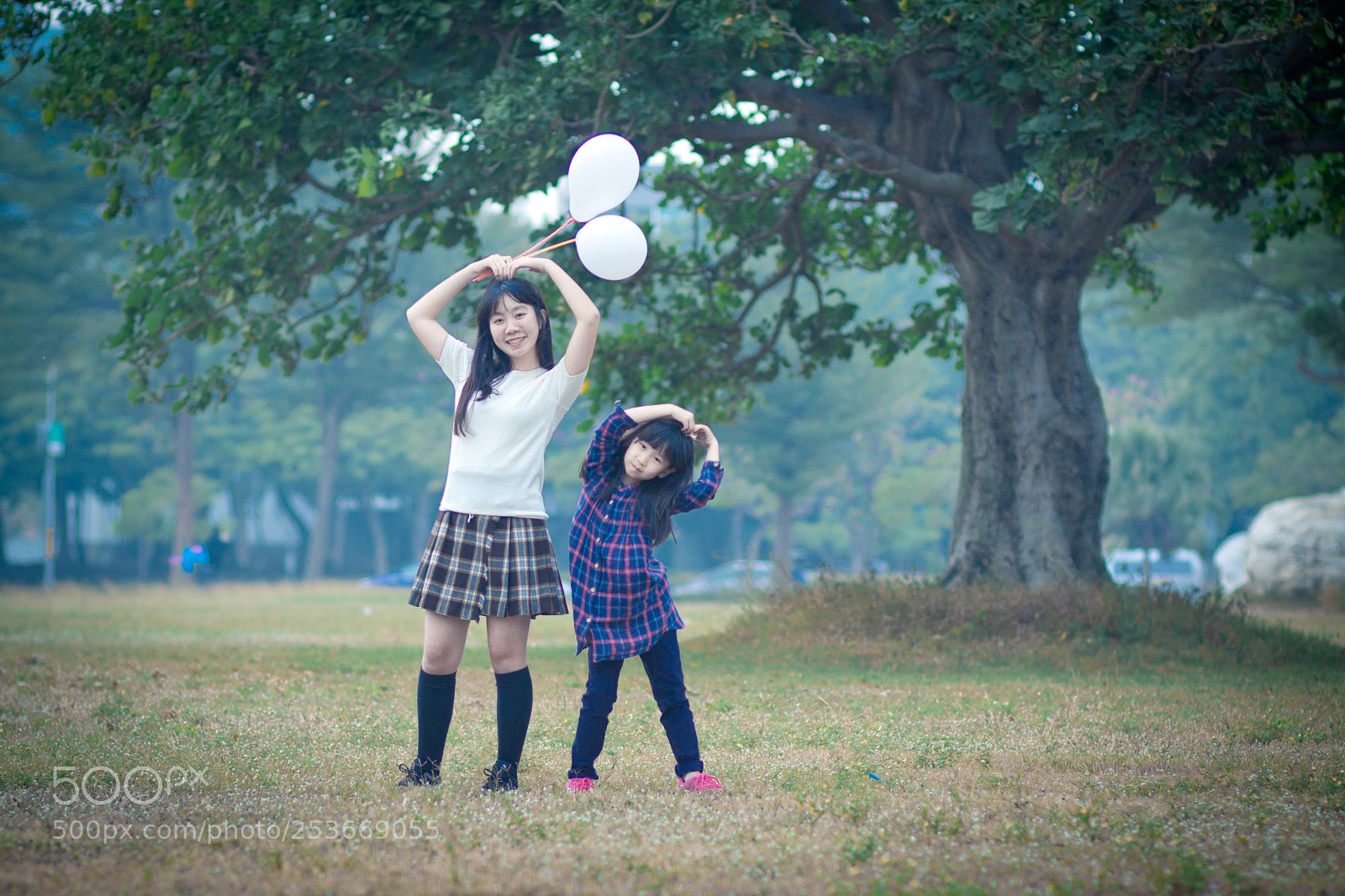 Canon EOS 50D sample photo. Untitled photography