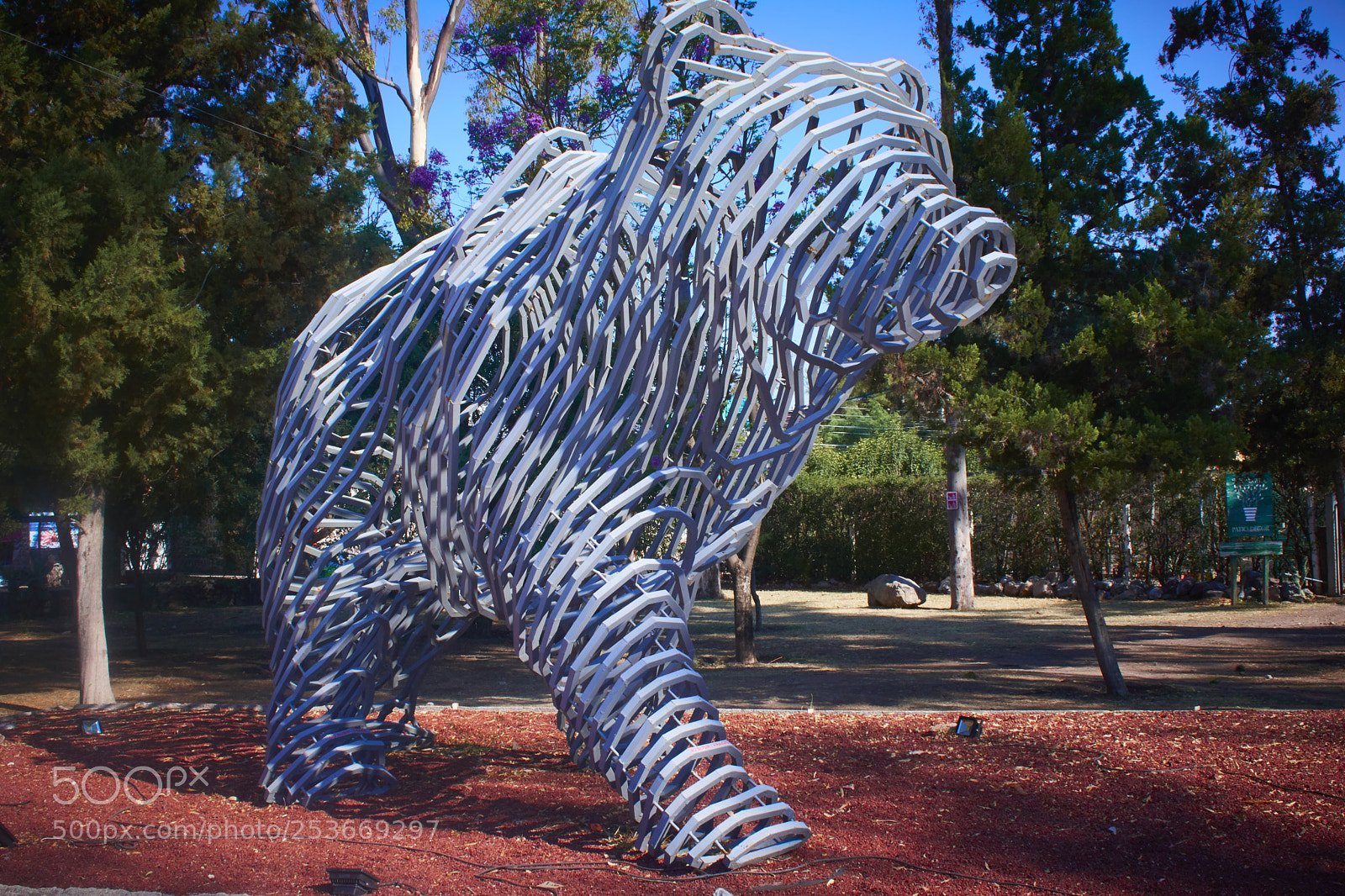 Nikon D3400 sample photo. Metal bear photography