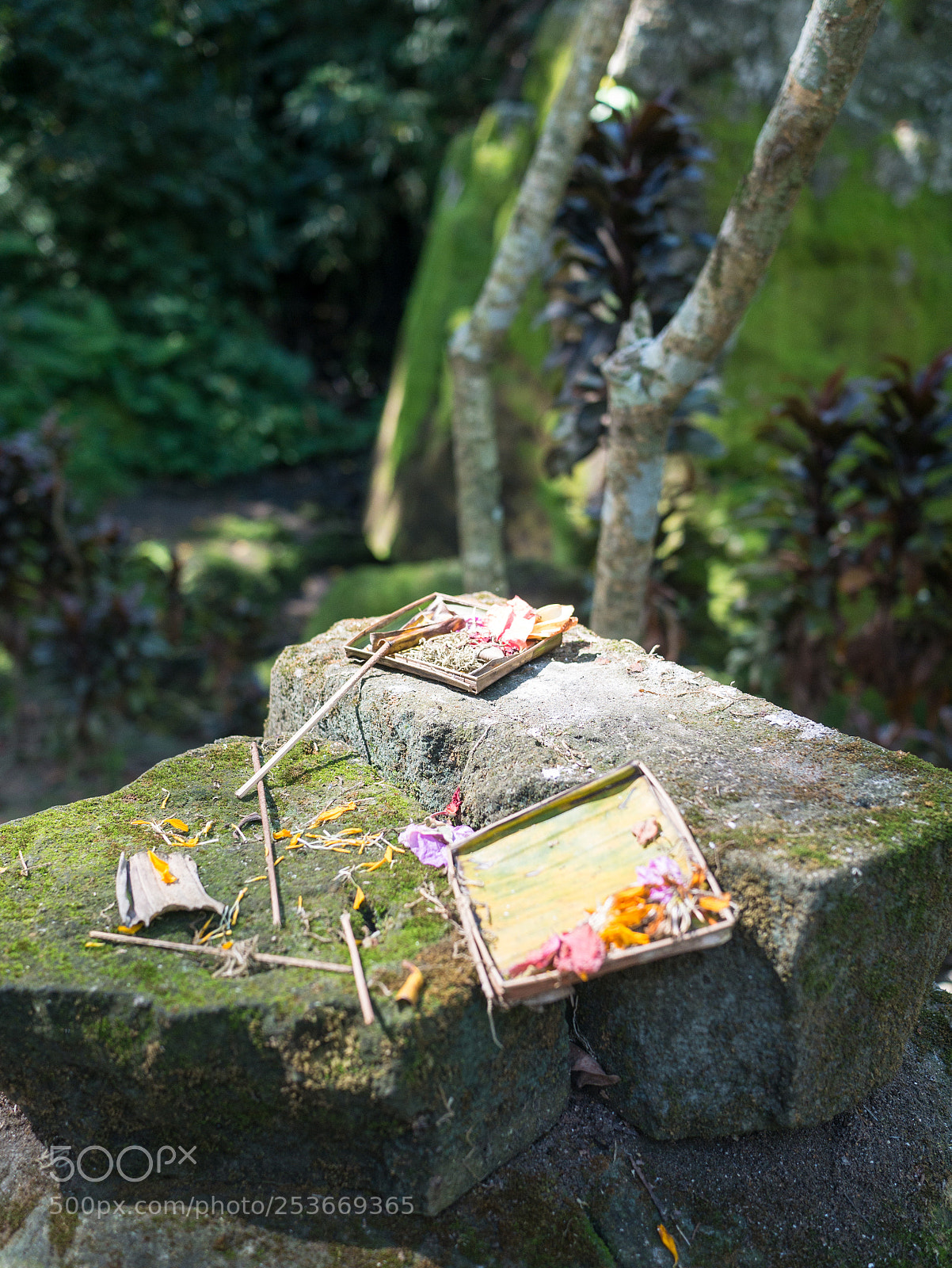 Panasonic Lumix DMC-GX7 sample photo. Offering to the gods photography