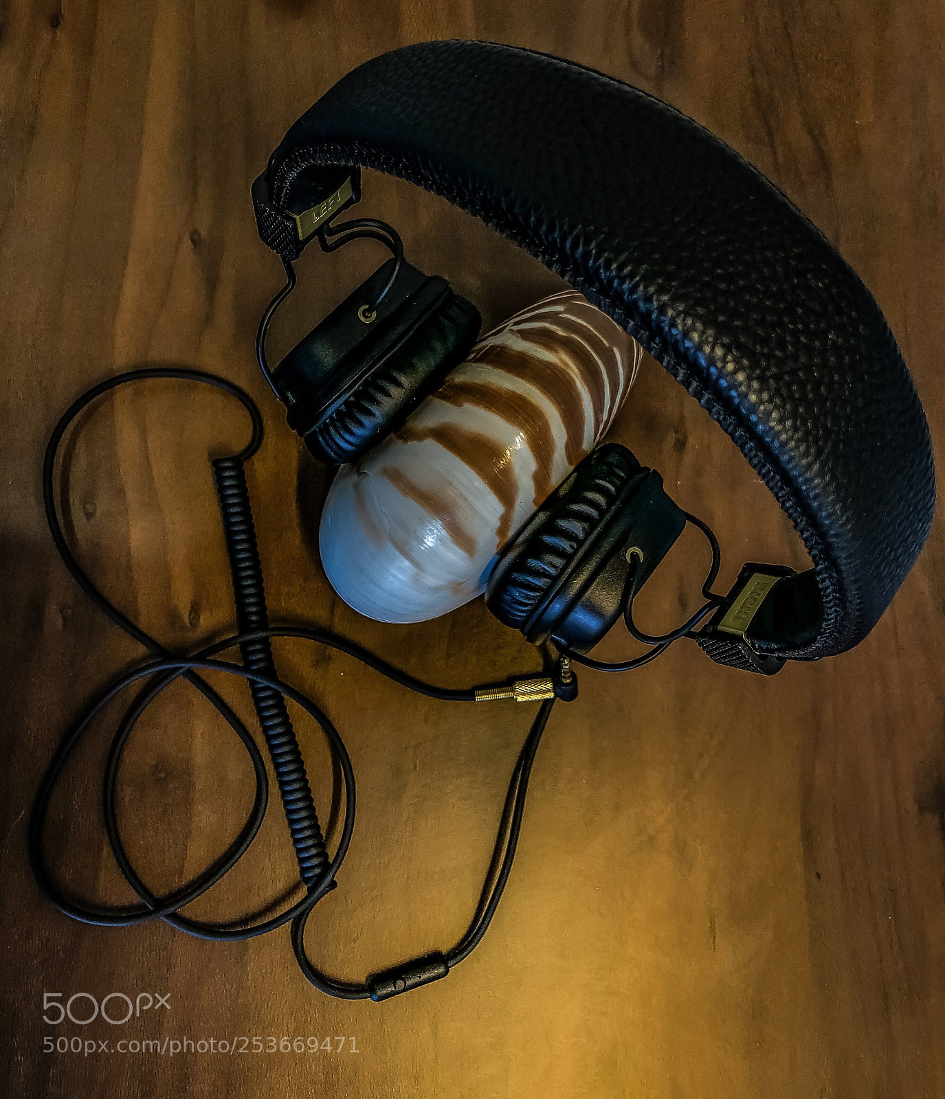 Apple iPhone X sample photo. Nautilus macromphalus headphone. photography