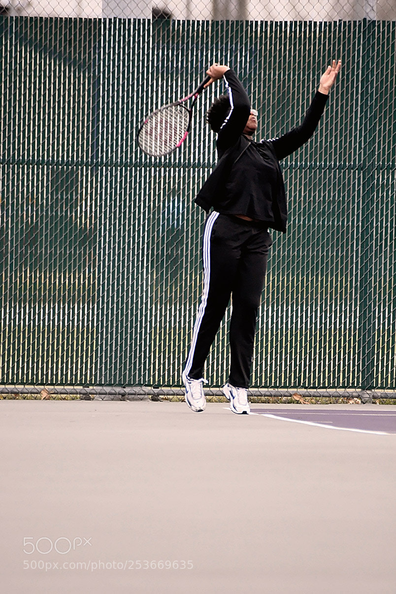 Nikon D500 sample photo. 4-11_0384.jpg photography