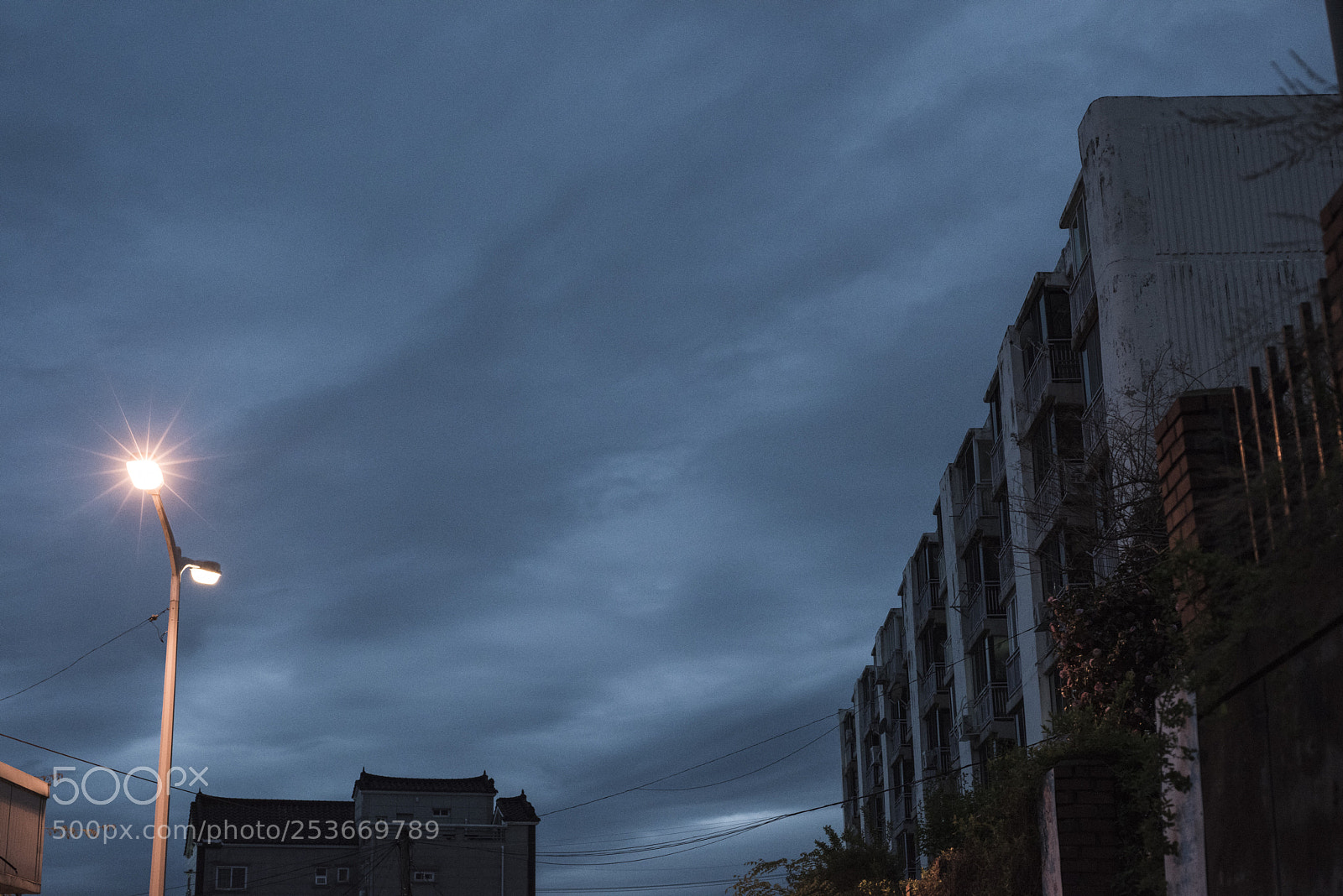 Nikon D810 sample photo. In a town 8 photography