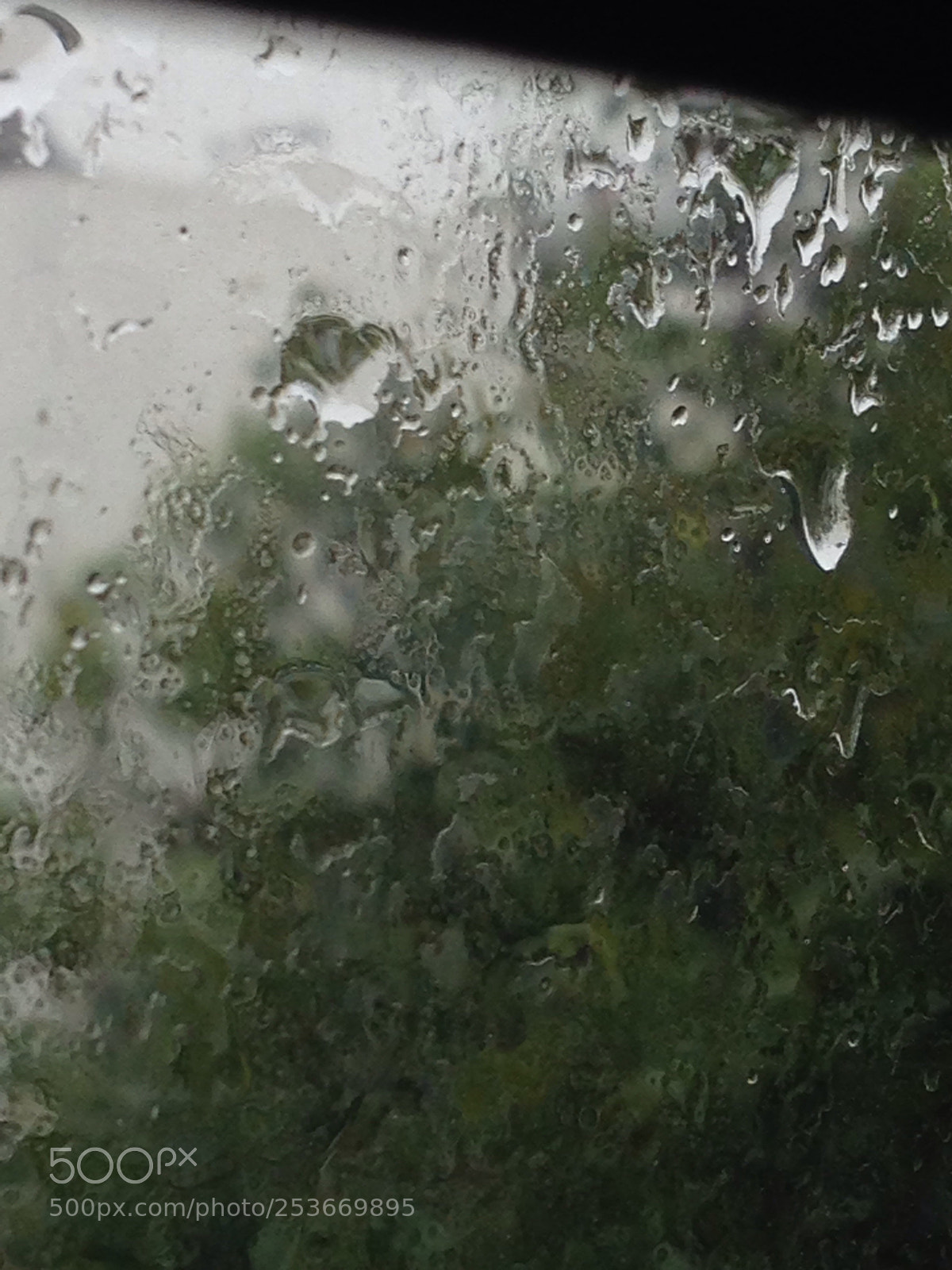 Apple iPhone 5 sample photo. Raining  photography