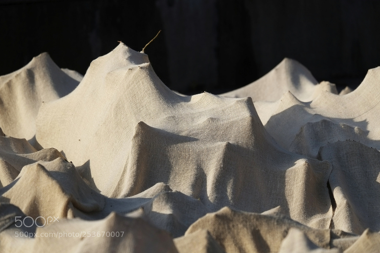 Fujifilm X-E1 sample photo. Plantes penitentes photography