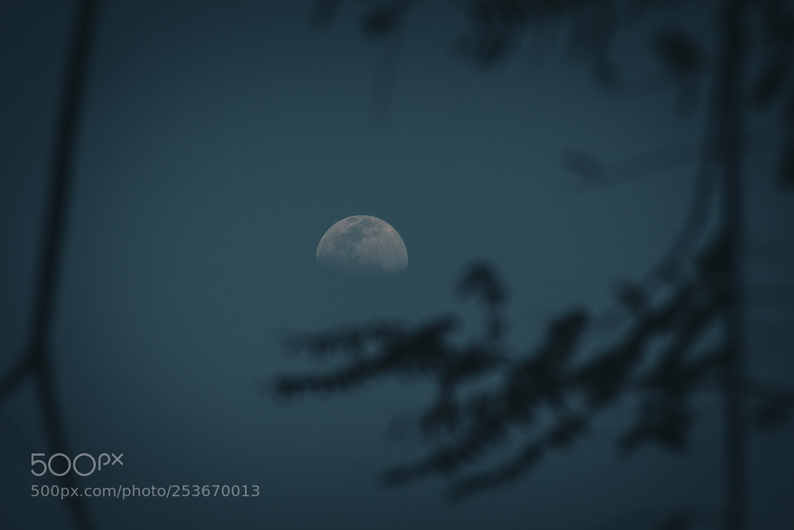 Canon EOS 700D (EOS Rebel T5i / EOS Kiss X7i) sample photo. Carlos.c.c fotografo photography