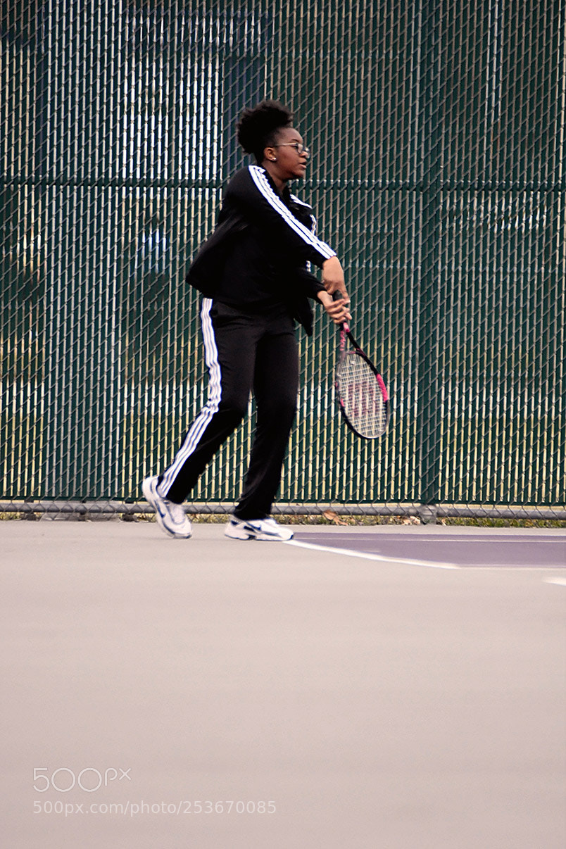 Nikon D500 sample photo. 4-11_0387.jpg photography