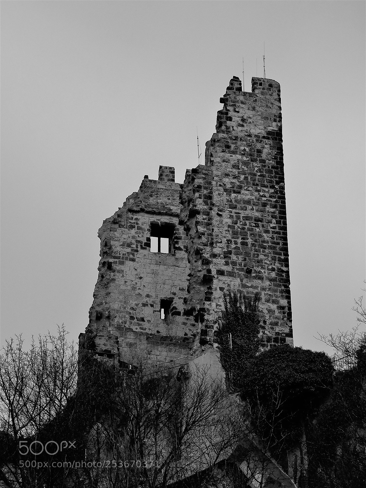 Nikon Coolpix B500 sample photo. Drachenfels photography
