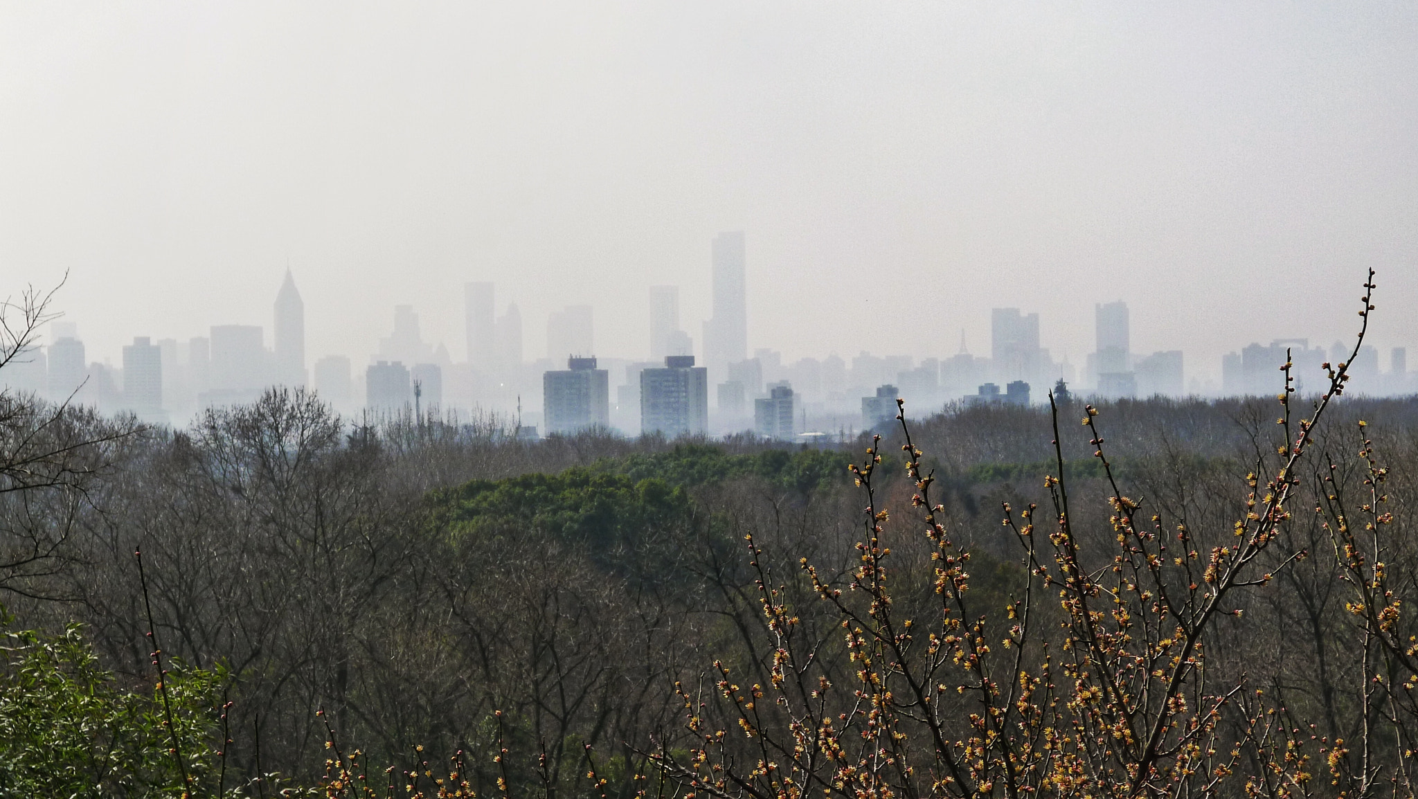 Panasonic Lumix DMC-LX5 sample photo. 南京天际线 photography