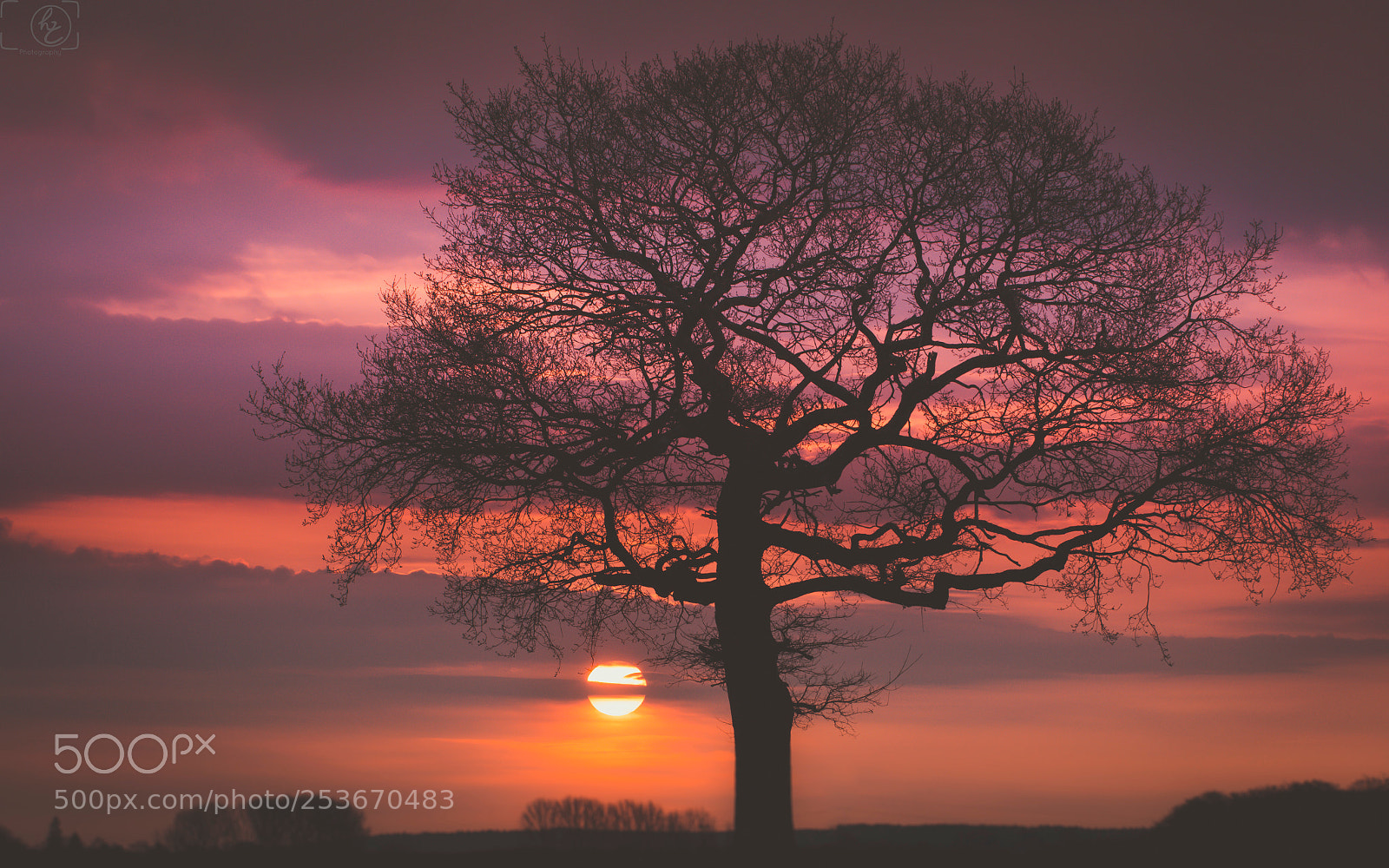 Canon EOS 70D sample photo. Morning dream photography