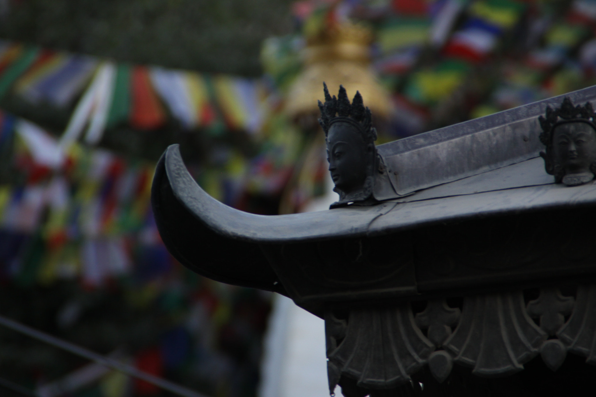 Canon EOS 50D sample photo