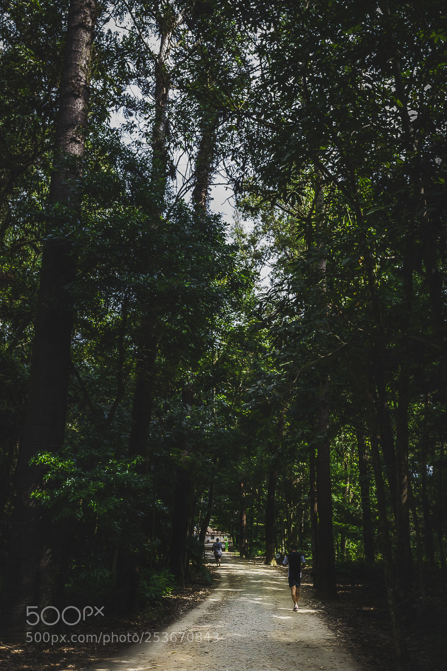 Sony a6000 sample photo. Untitled photography